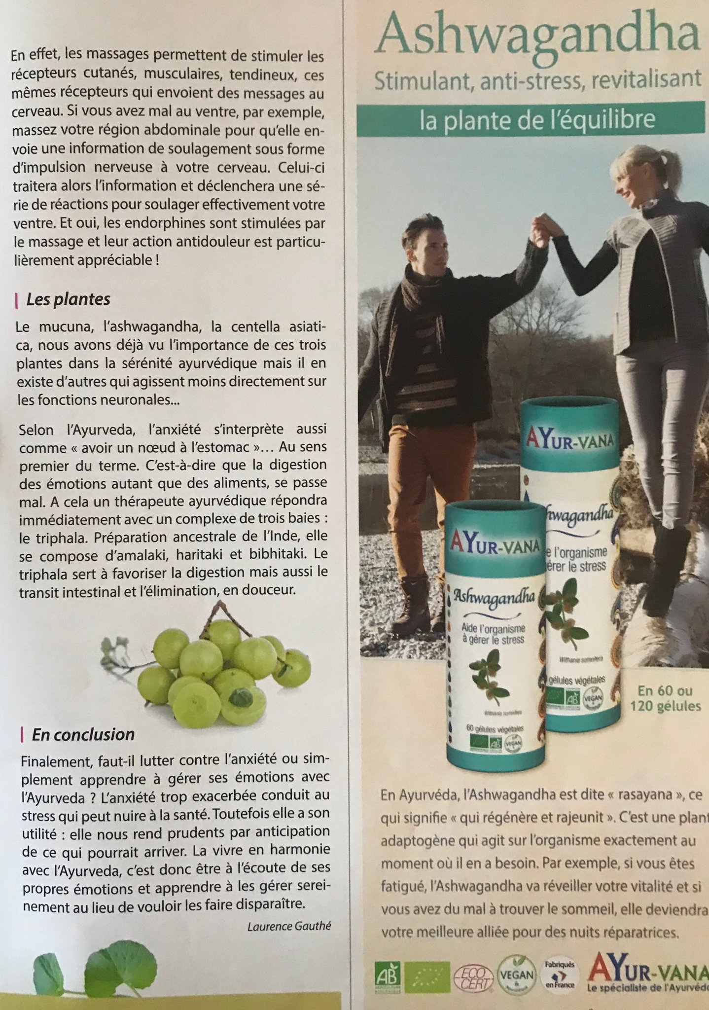 journal de l'ayurvéda 7