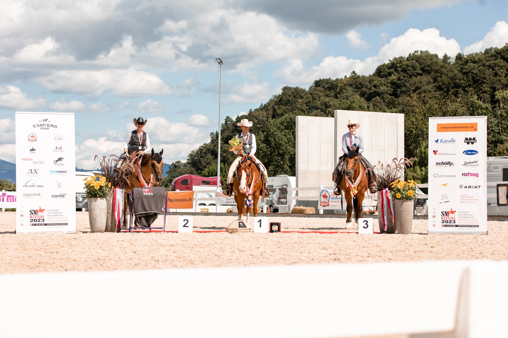Elite Western Ranch Rail