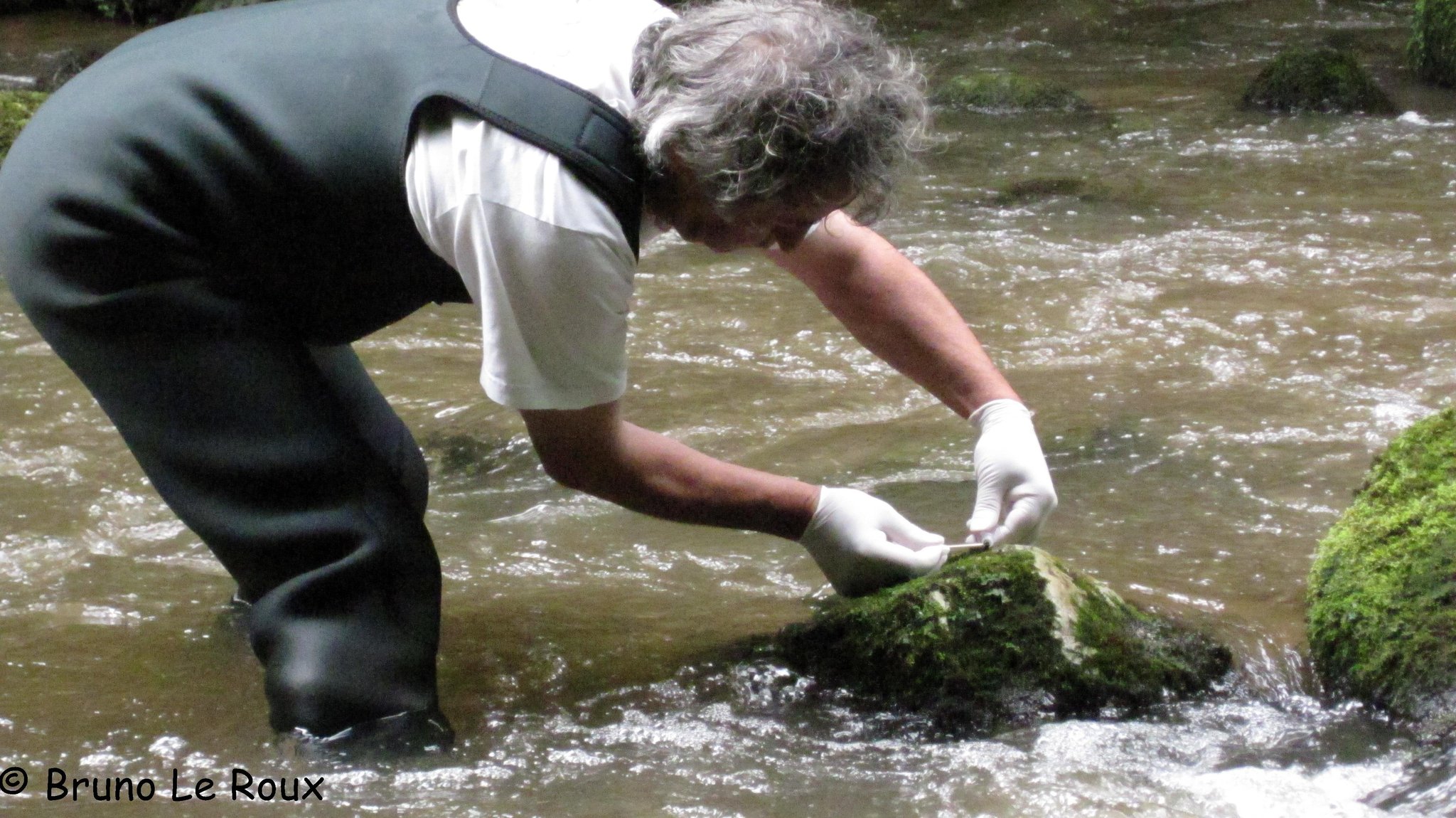 Prélèvement à des fins d'analyse génétique