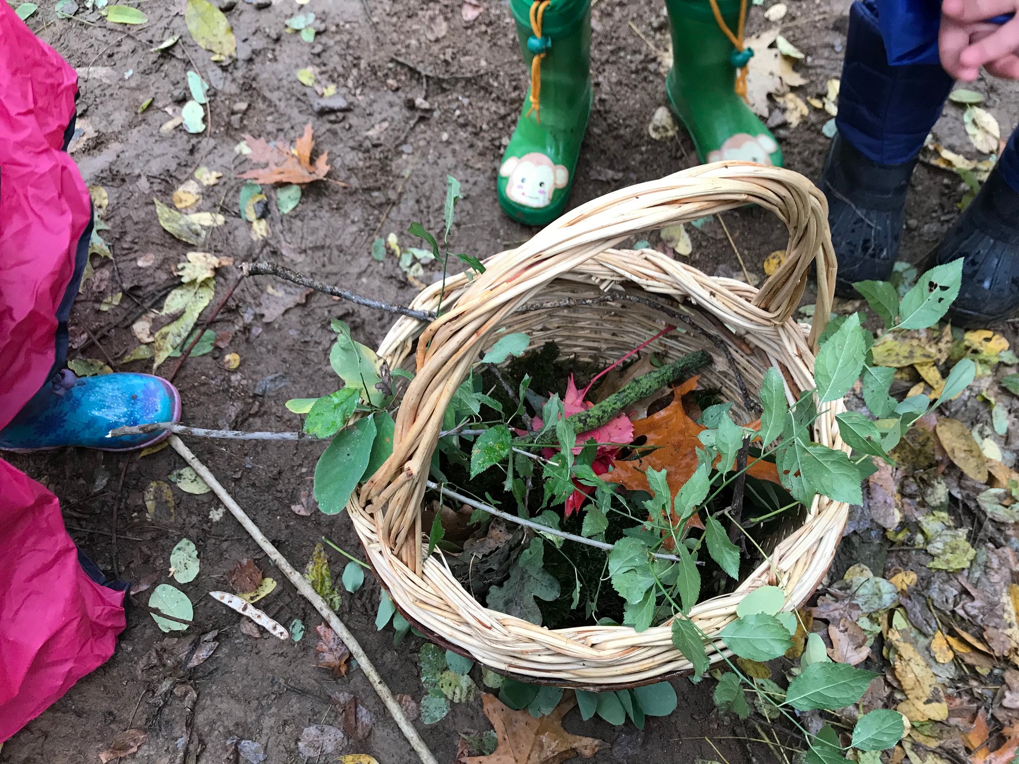 Raccogliamo materiale naturale per uso creativo e ludico