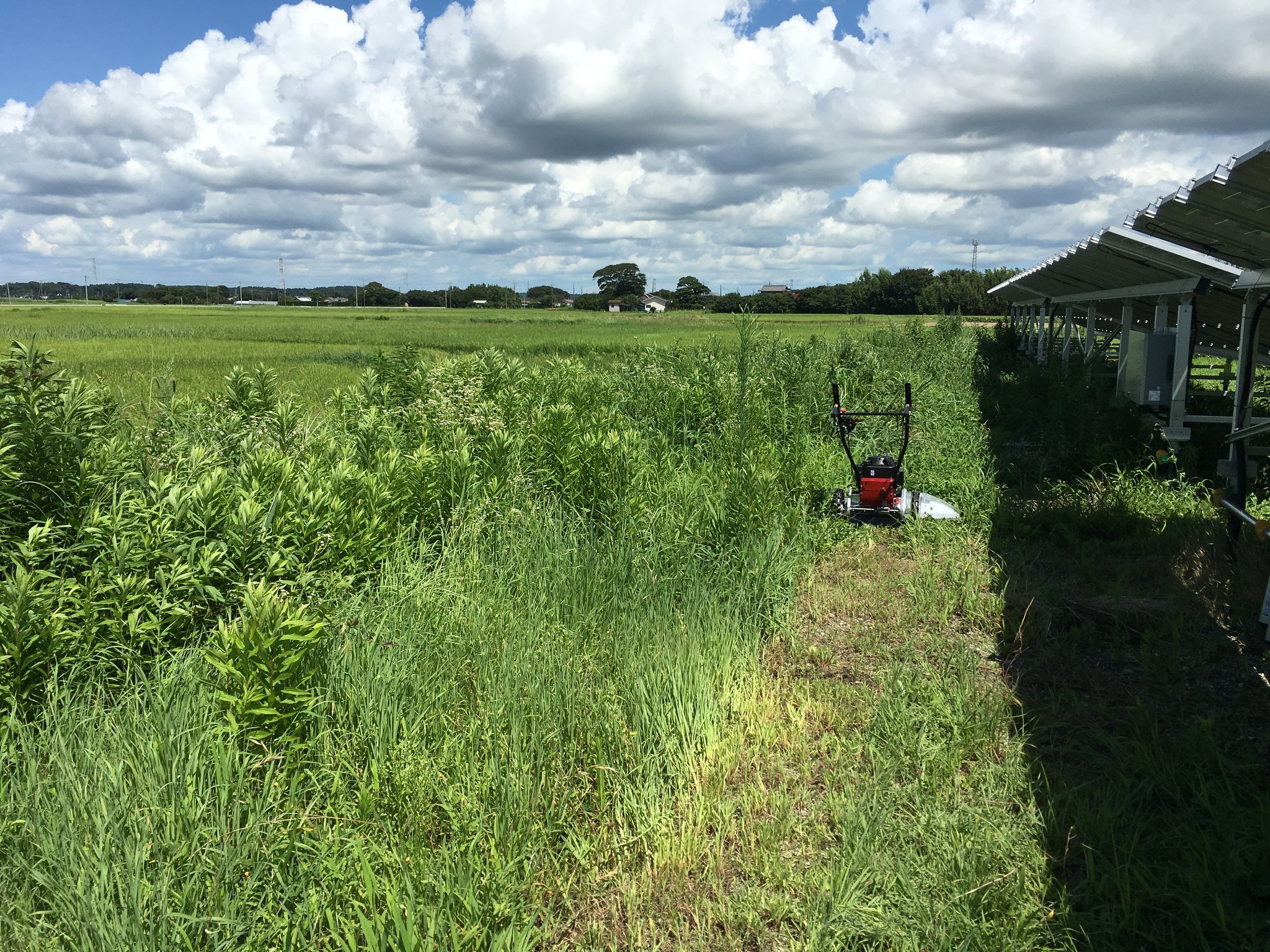 作業開始時点の様子