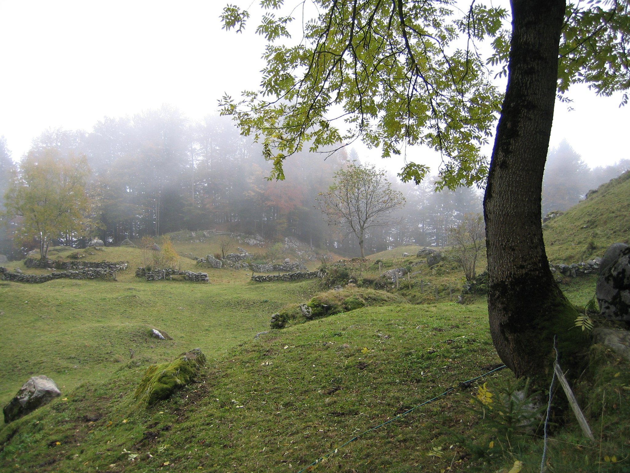 Das Bräch stimmungsvoll im Nebel