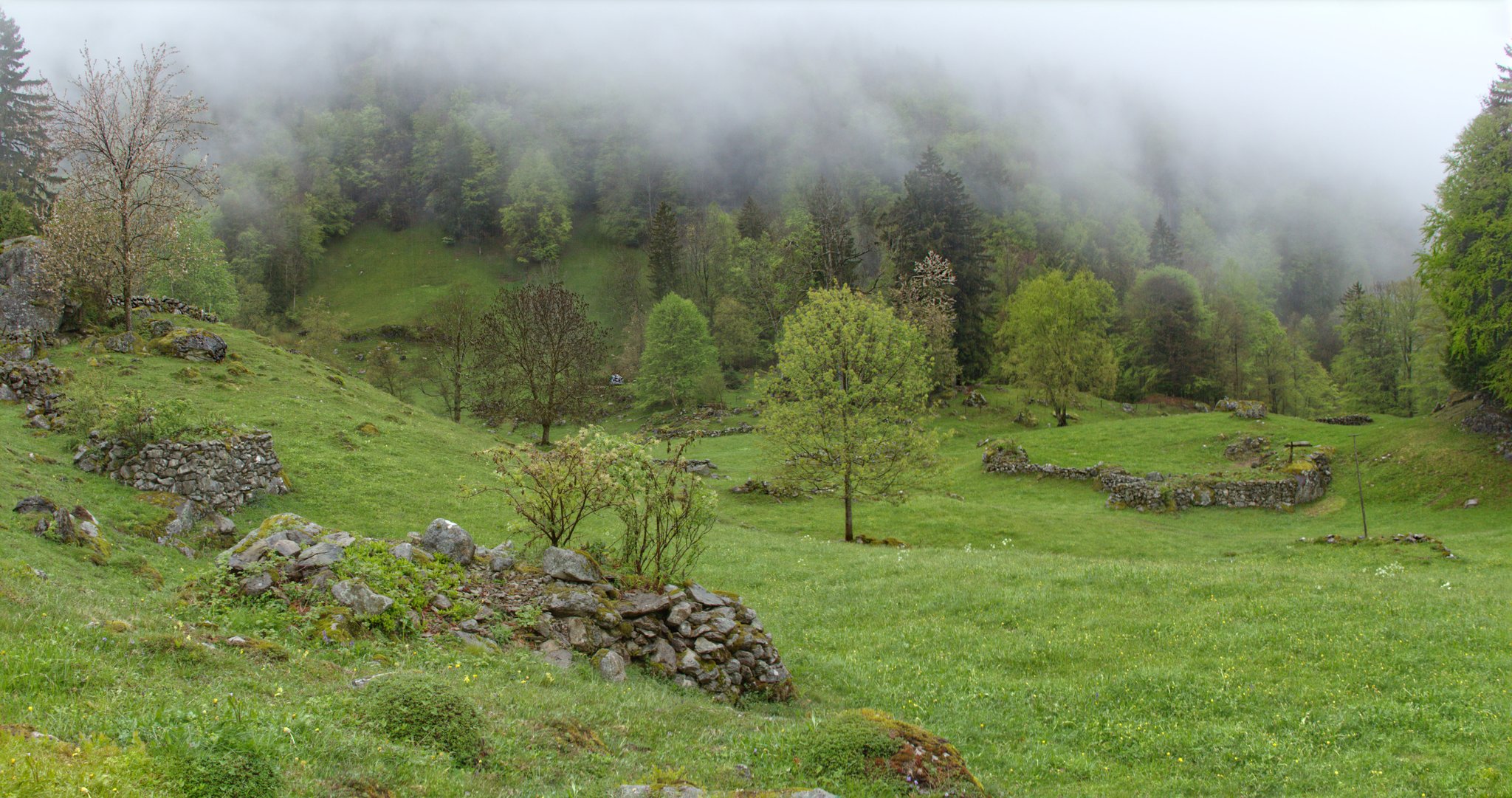 Der Trockenstandort im Hintergrund ist sehr steil.