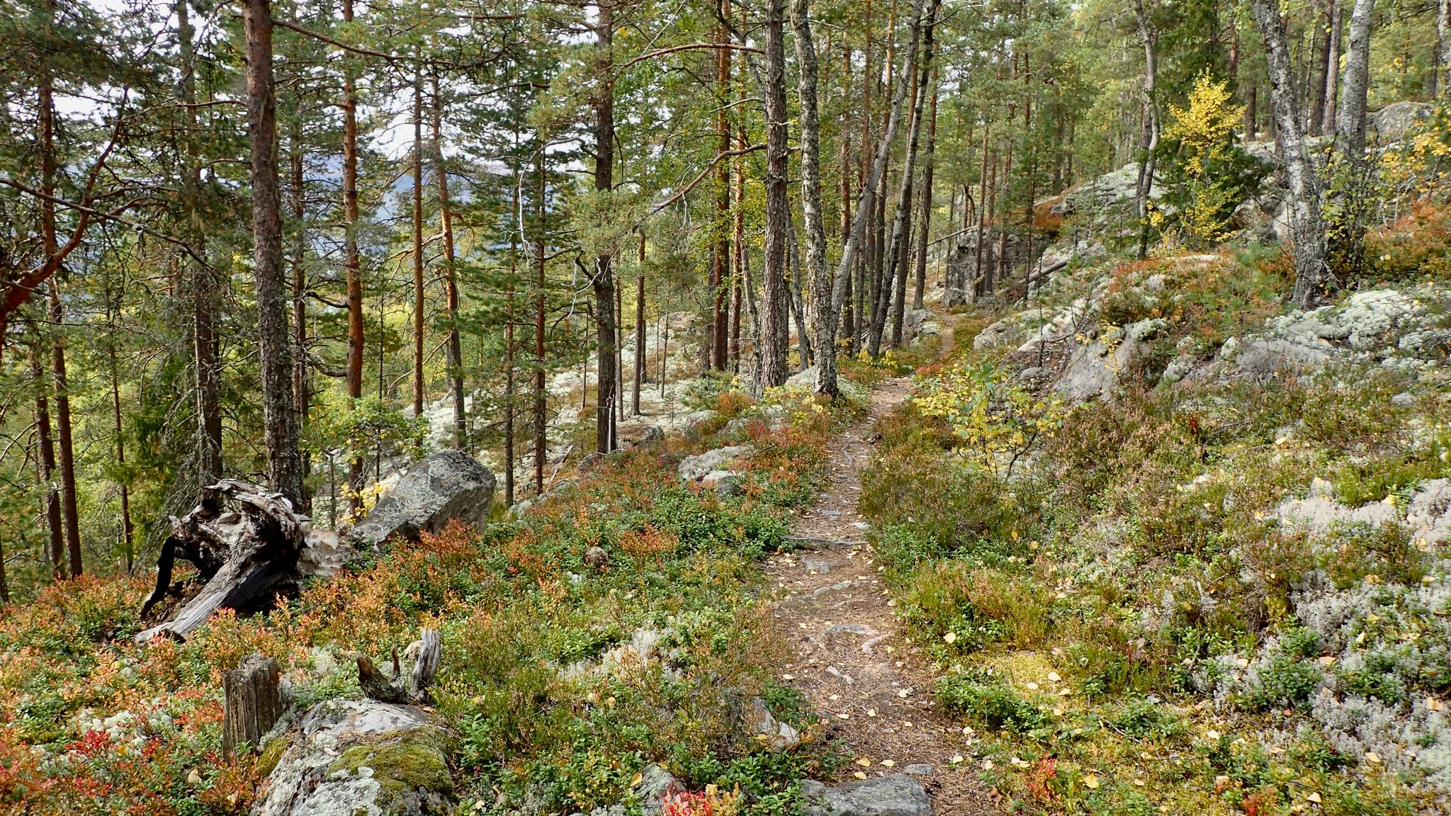 Der alte Kirchenpfad im September