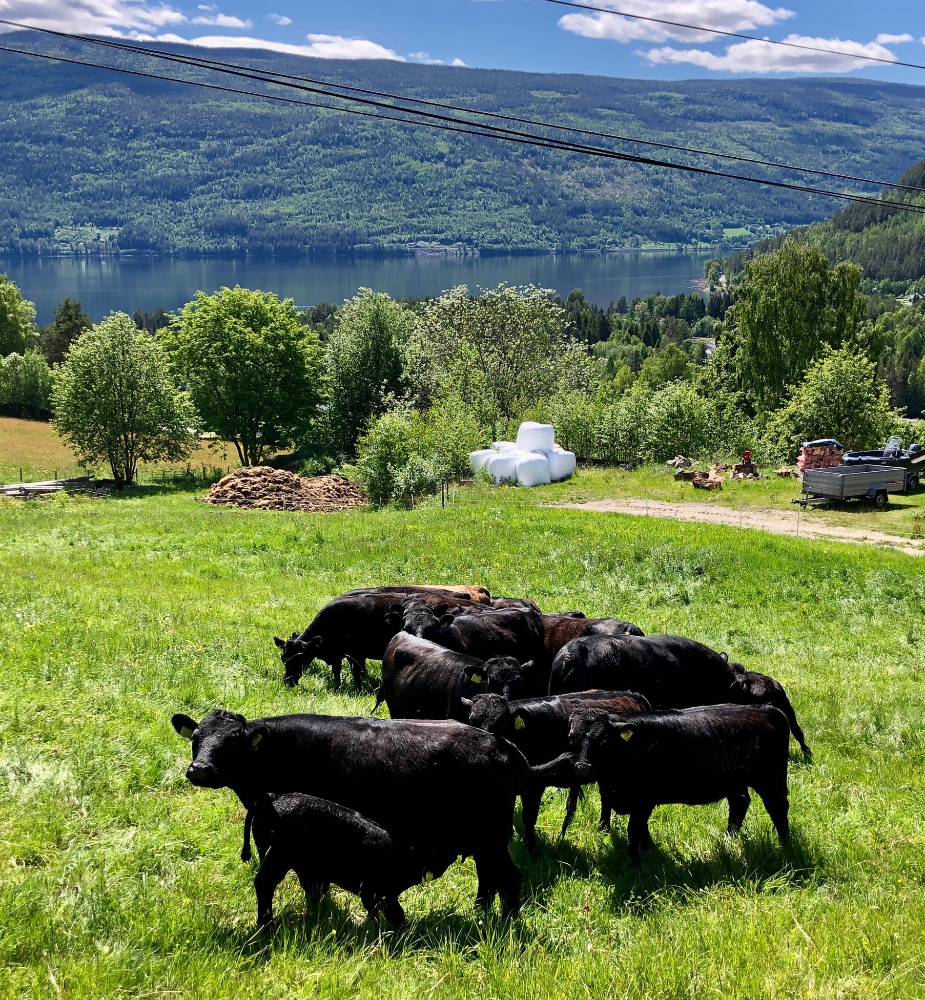 aktiv gårdsdrift langs veien (maurudbohle.com)