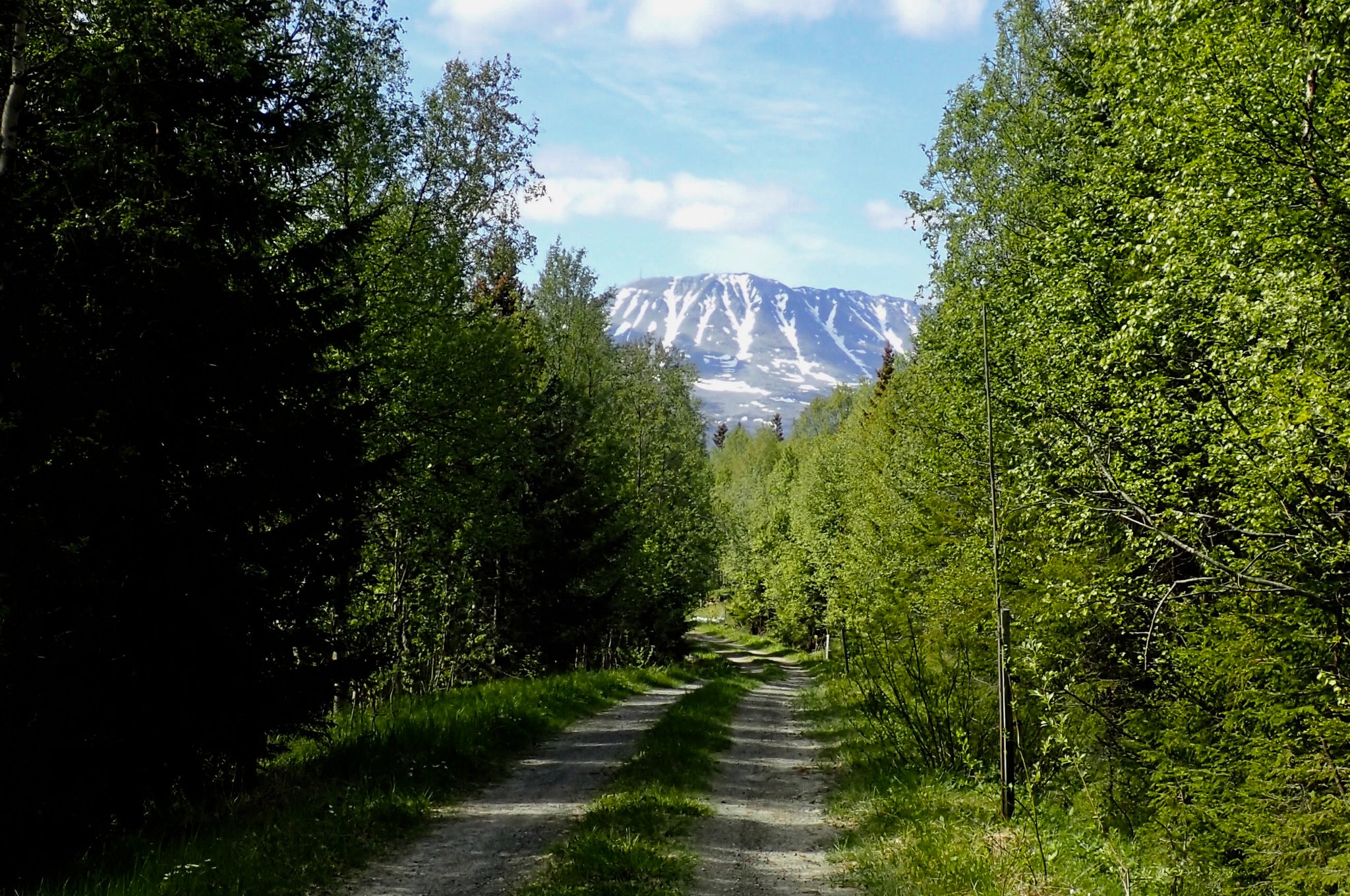 utsikt mot Gaustatoppen