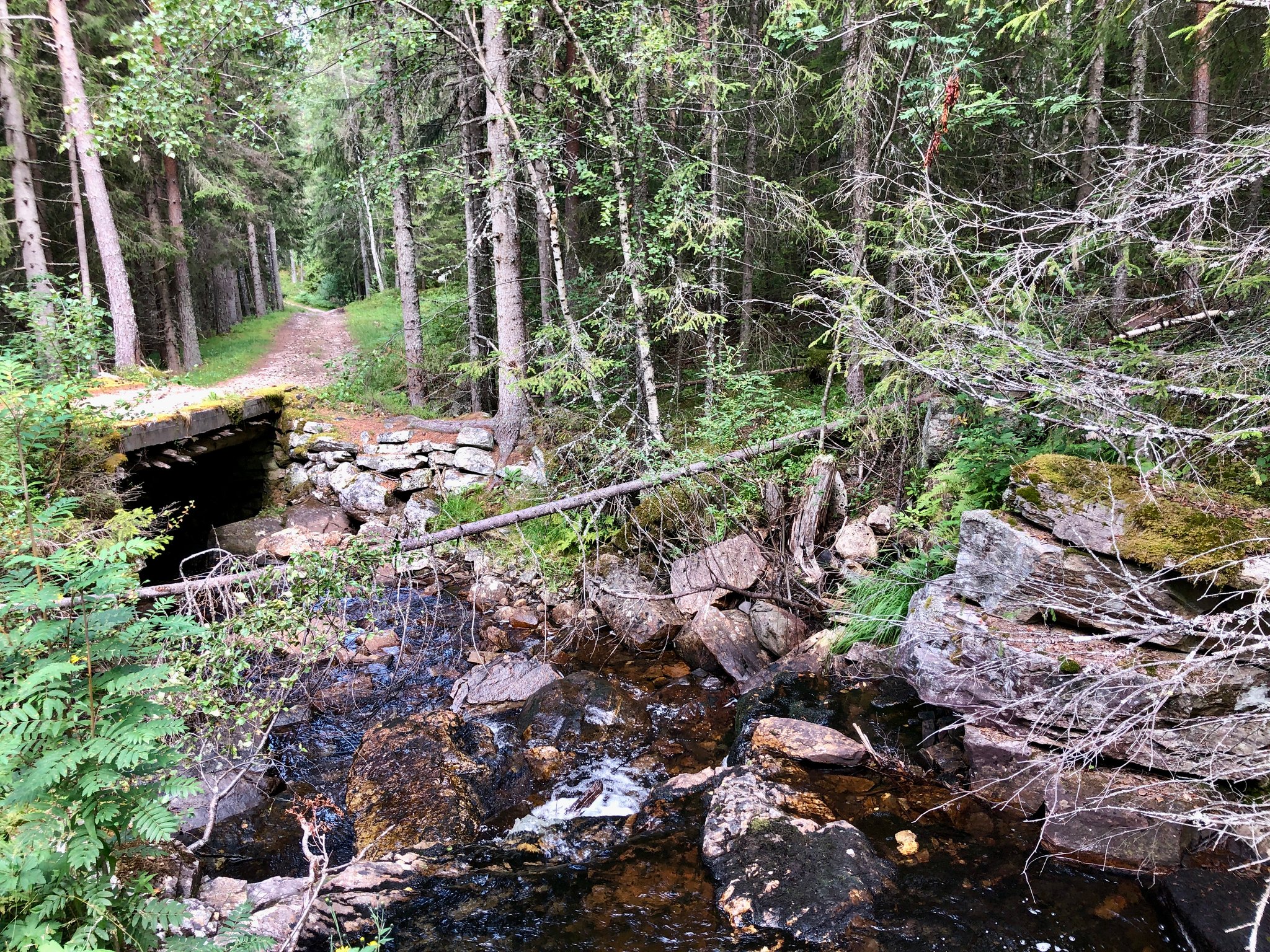 her ser du fundamentene av en tidligere bru