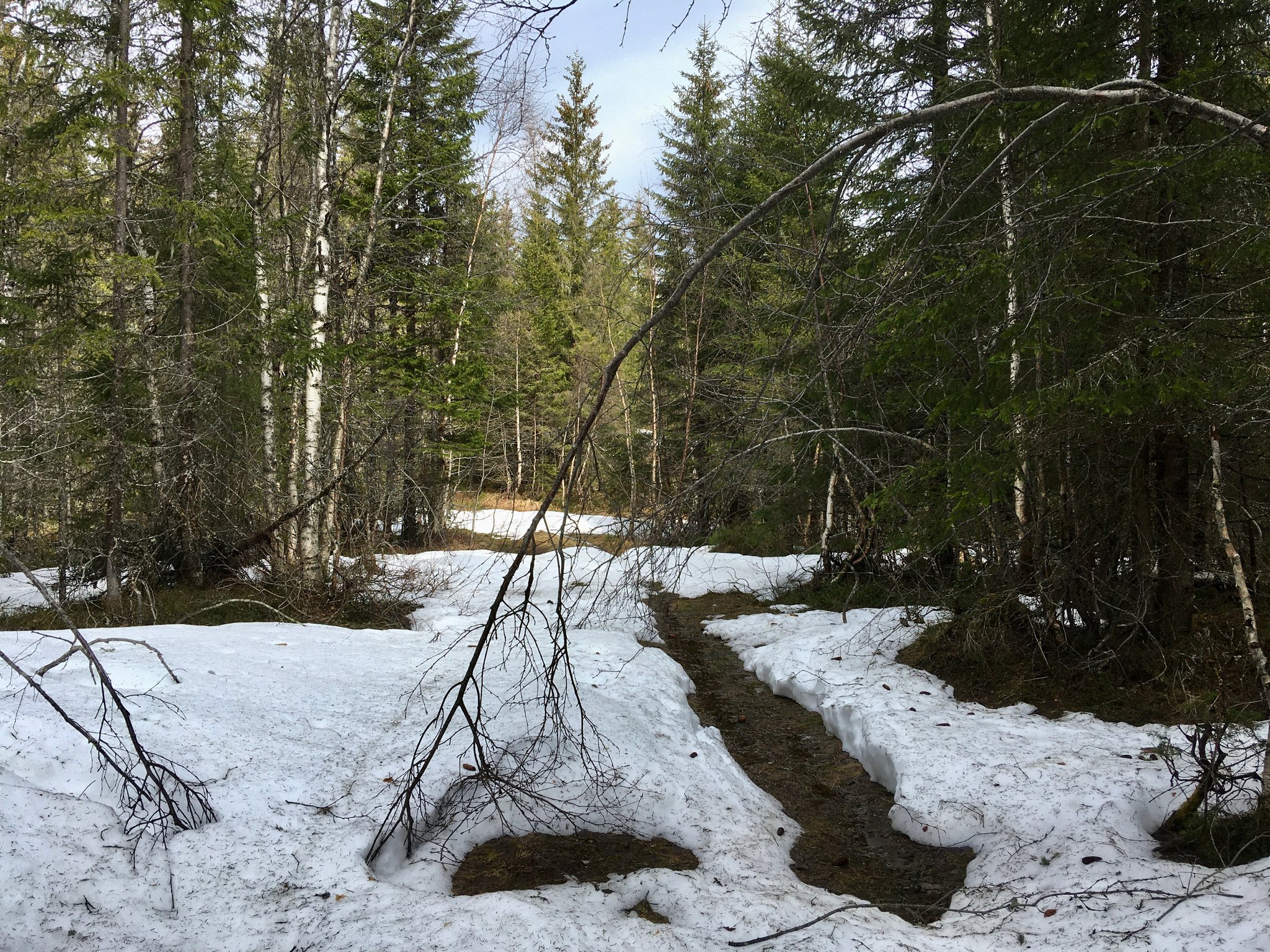 også det er mulig i mai