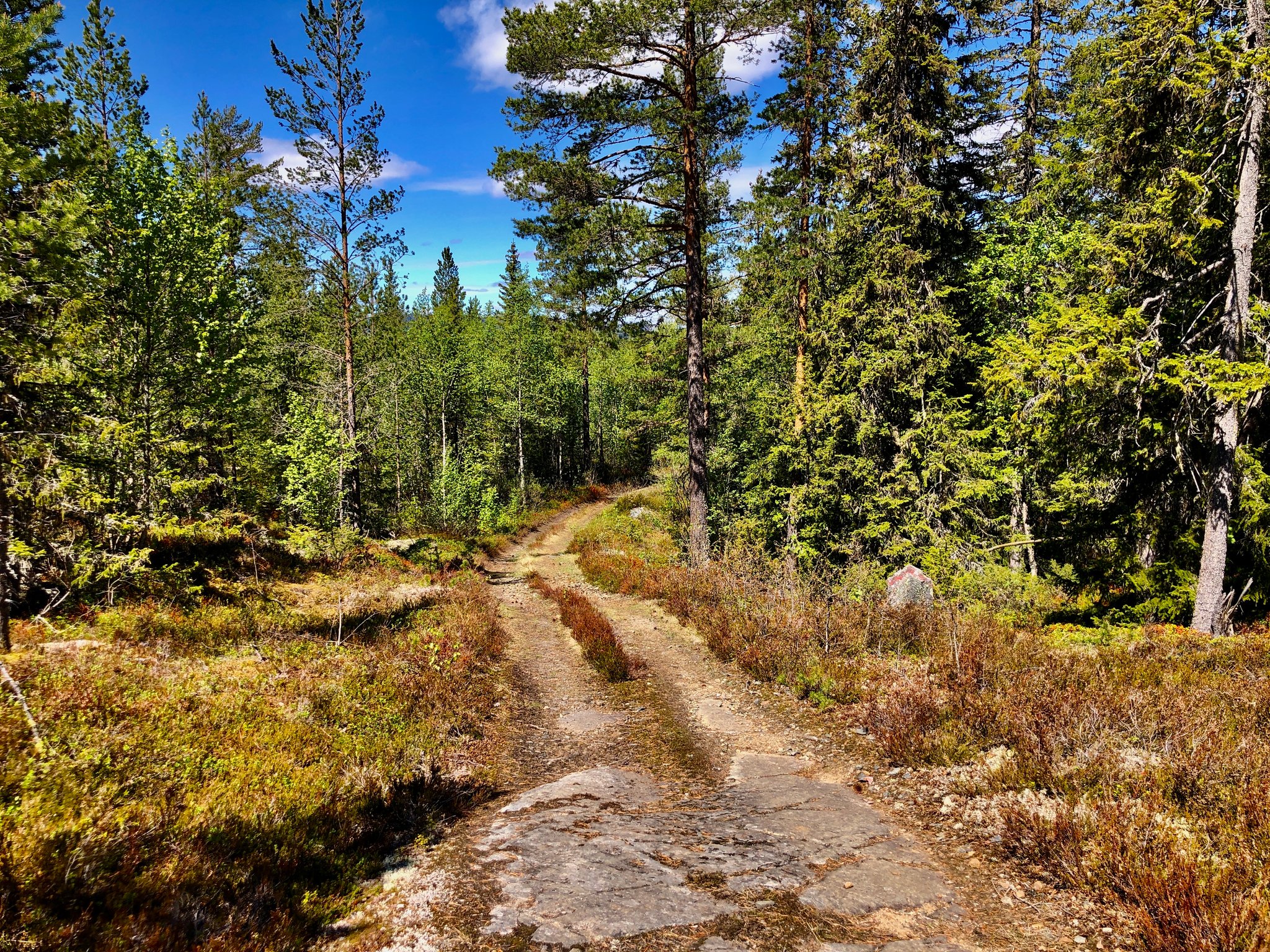 grensemarkering ved tidligere hovedveien