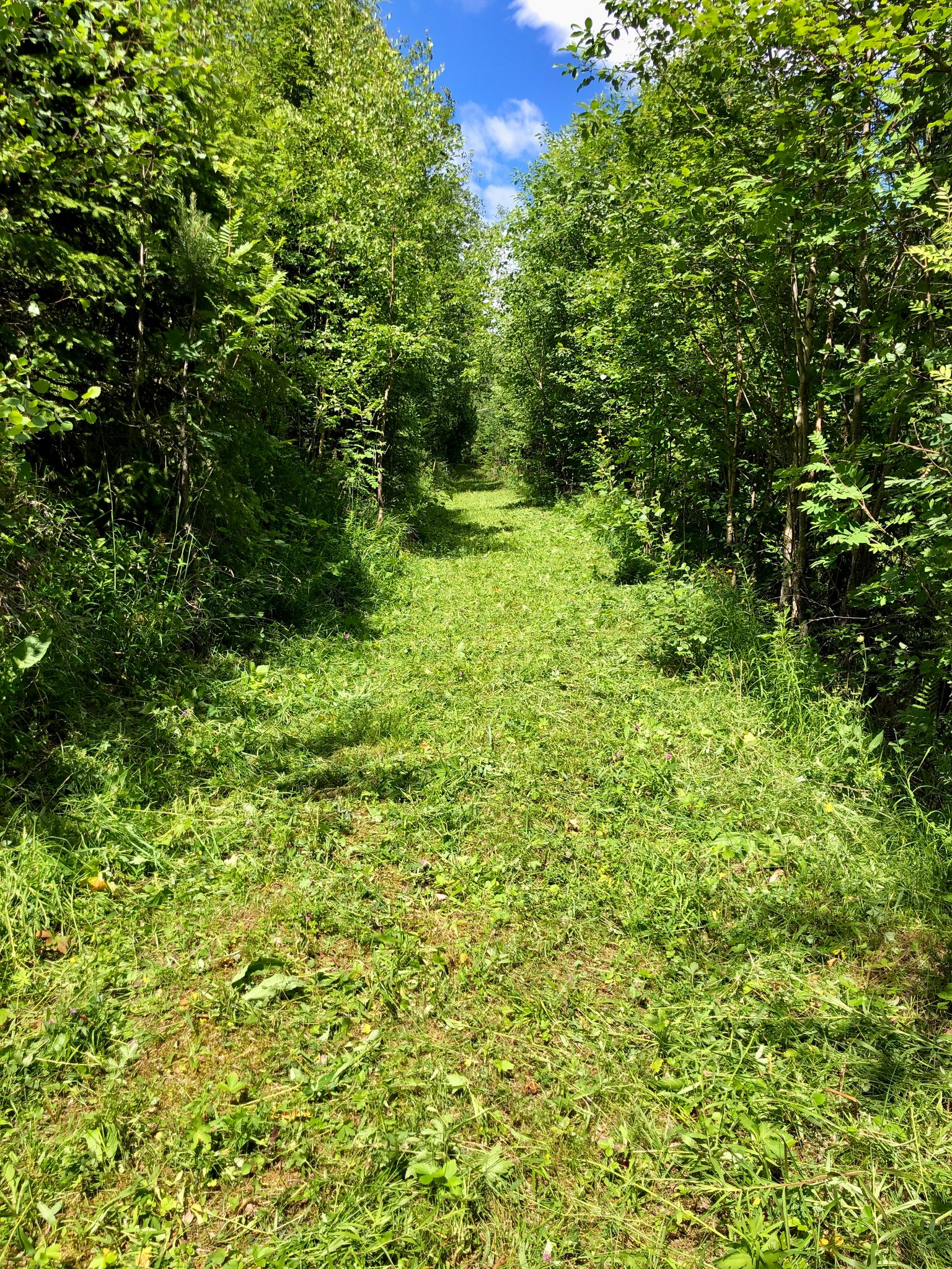første delen bak Hovin Kyrkje, akkurat ny klipper, men kan vare høy grass der også ;-)