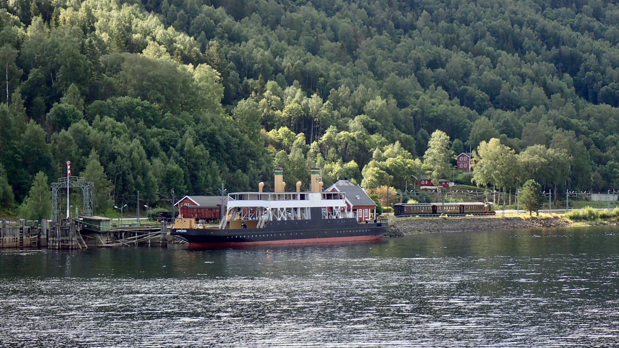 Ammonia und der historische Zug