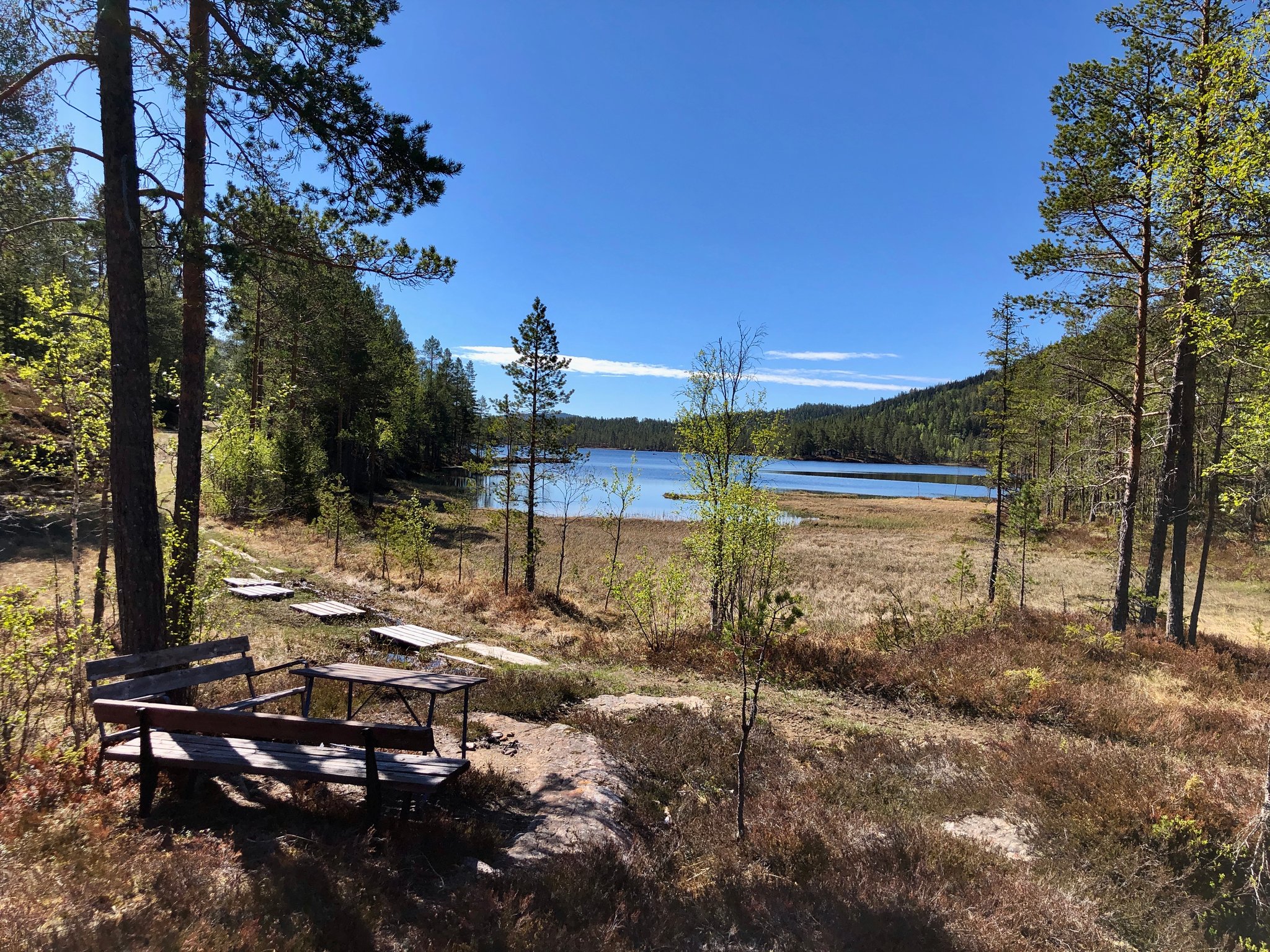 ein mooriges Stück ist dank der Paletten meist gut zu überqueren