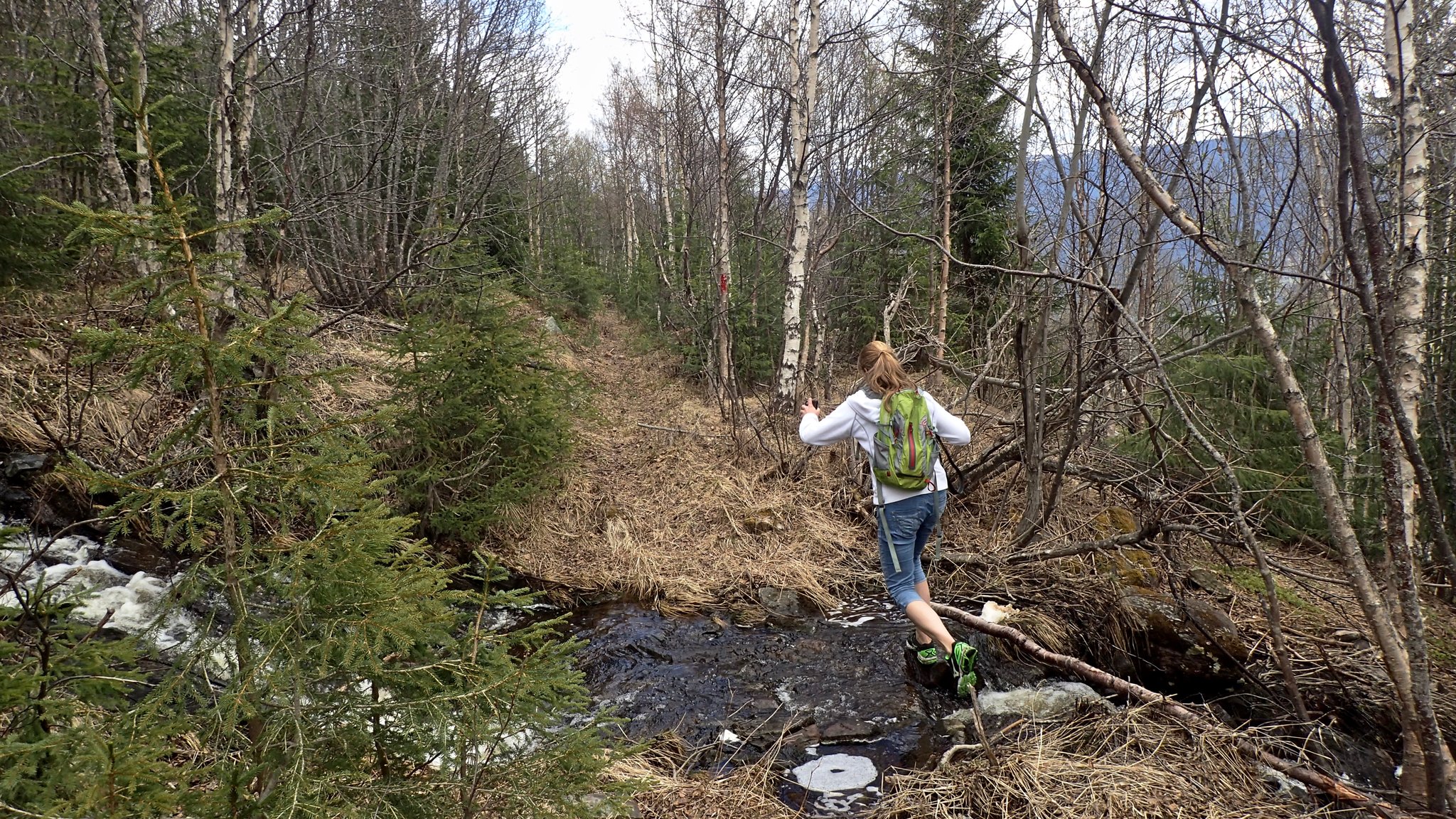 høyvann etter snøsmelte i mai