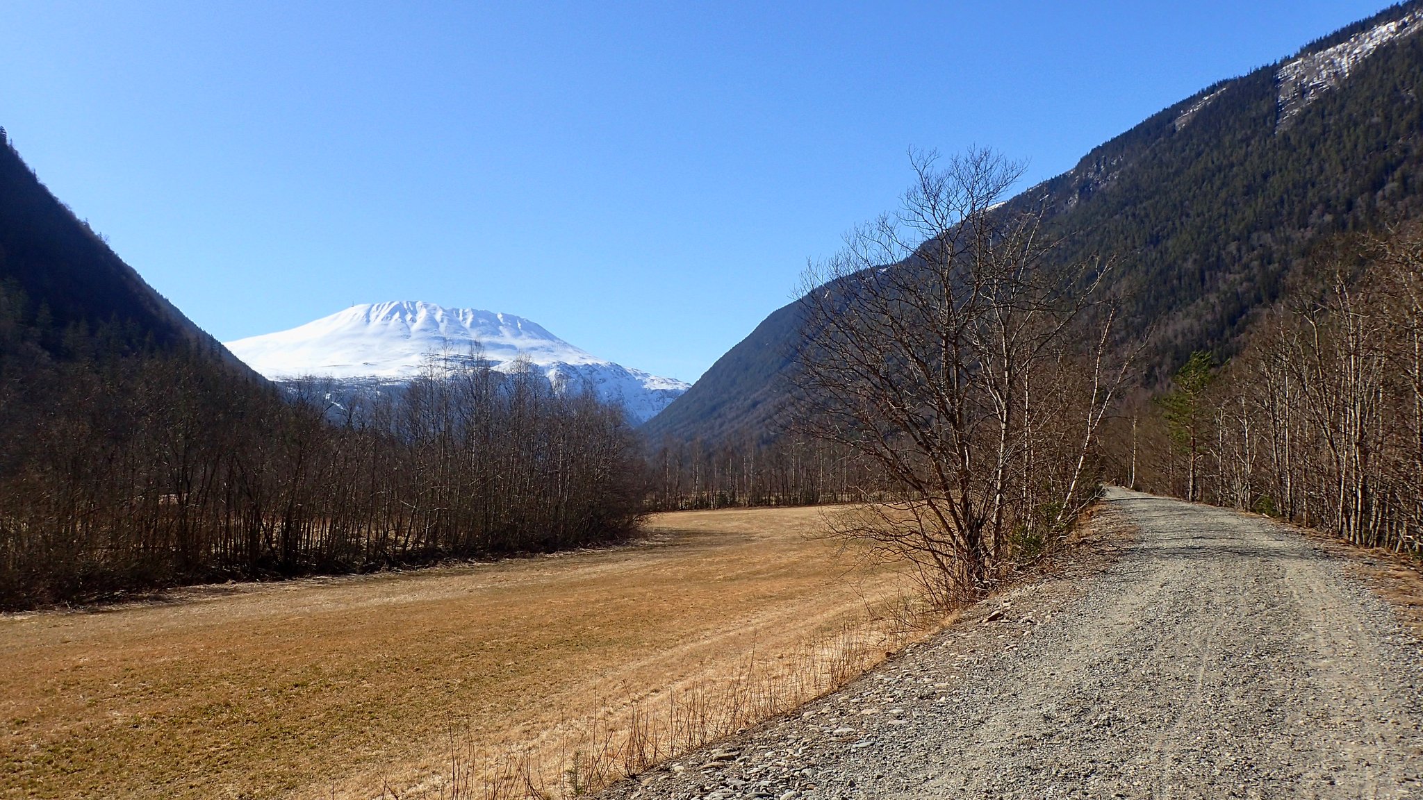 Immer auf den Gaustatoppen zu