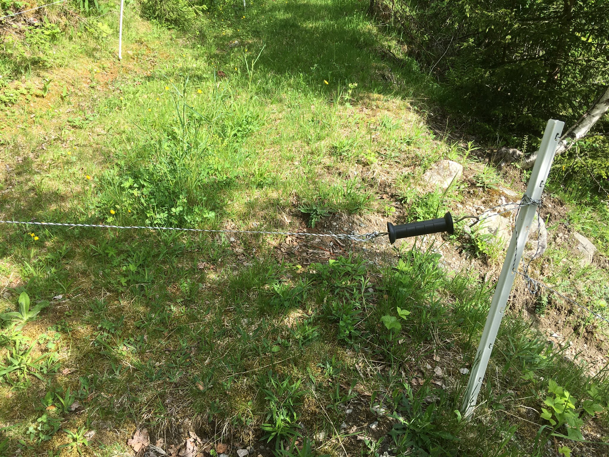 Viehgatter kurz nach der Kirche von Hovin, bitte am Handgriff den Haken lösen und nach dem passieren wieder gut verschliessen