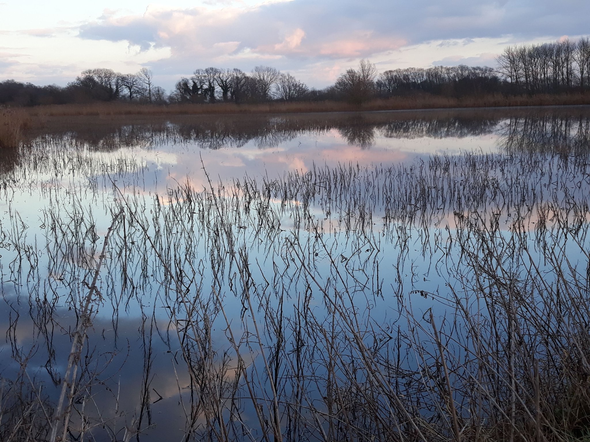 © D.Sepulchre Blog Gîte de La Buissière, les promenades, la réserve naturelle du Haut-Geer