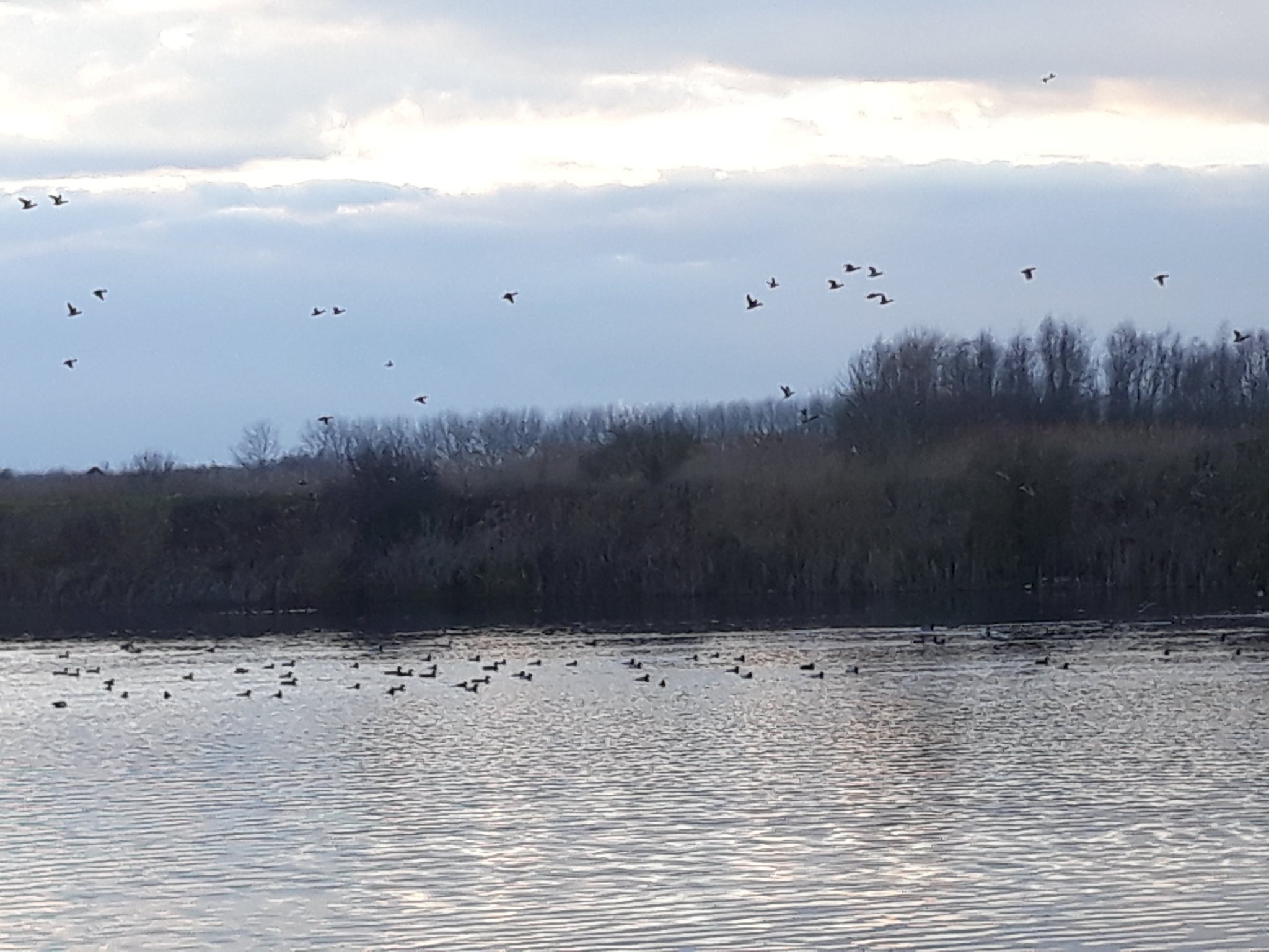 © D.Sepulchre Blog Gîte de La Buissière, les promenades, la réserve naturelle du Haut-Geer