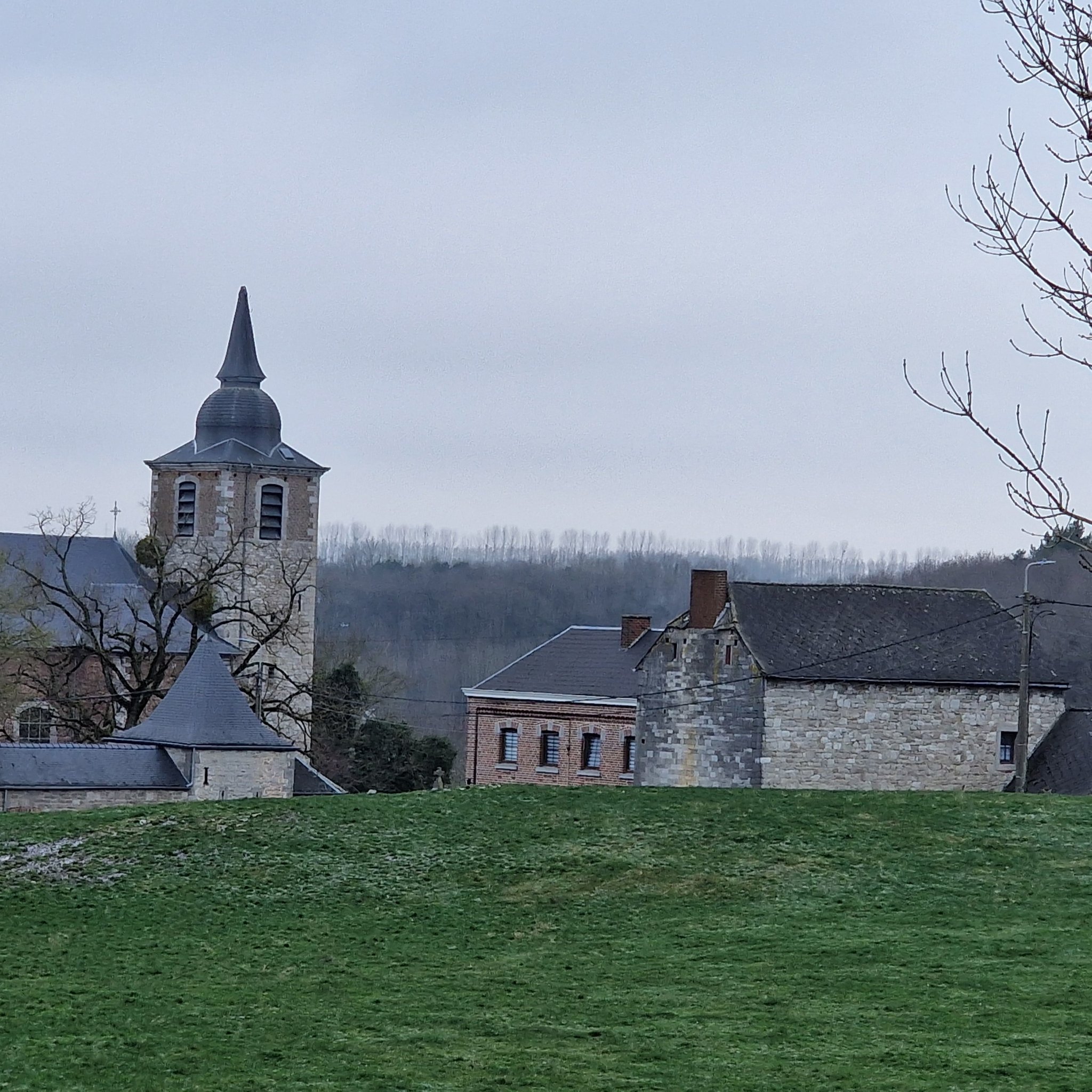 ©Dominique Sepulchre La Buissière Promenade du Trou Perdu - Thon (Andenne)