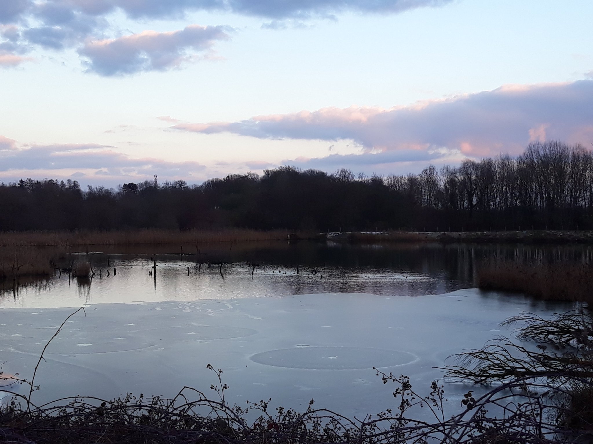 © D.Sepulchre Blog Gîte de La Buissière, les promenades, la réserve naturelle du Haut-Geer