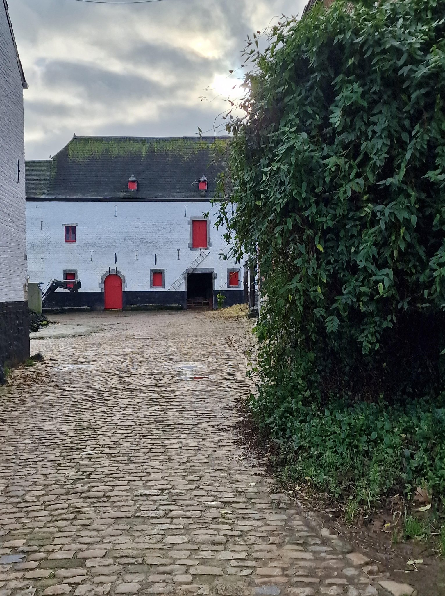 © Dominique Sepulchre , la Buissière Fernelmont - Hemptinne
