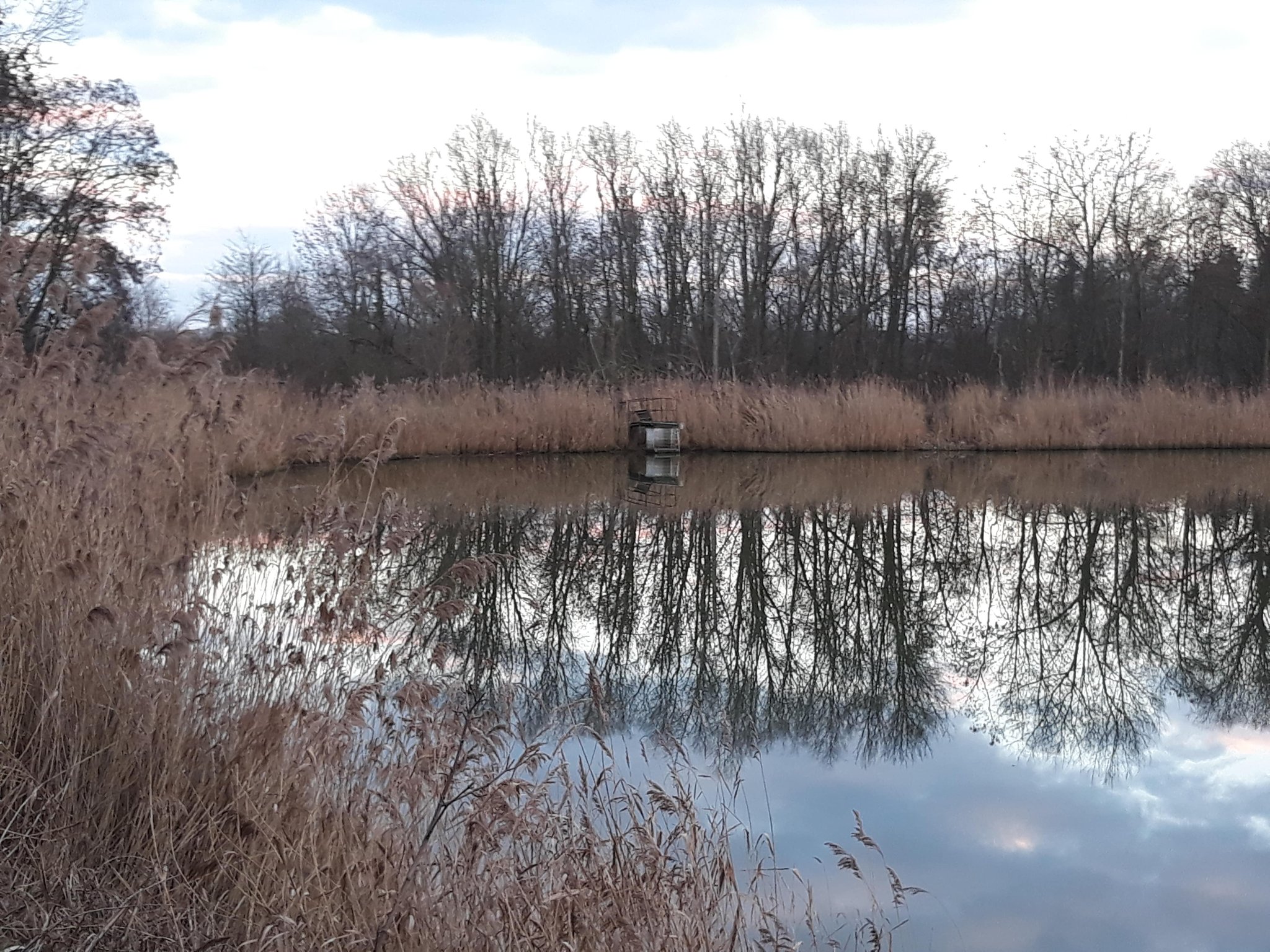 © D.Sepulchre Blog Gîte de La Buissière, les promenades, la réserve naturelle du Haut-Geer