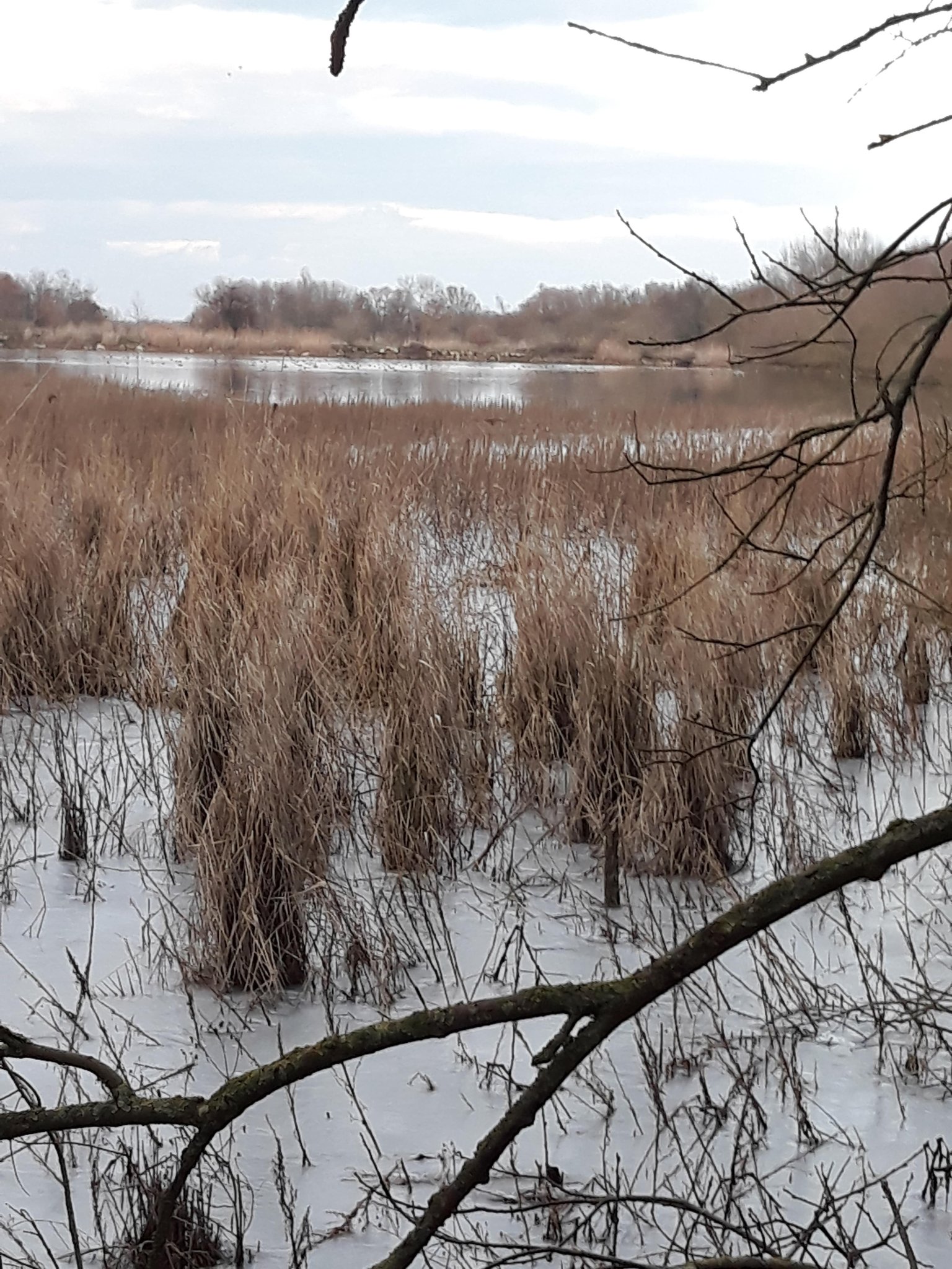 © D.Sepulchre Blog Gîte de La Buissière, les promenades, la réserve naturelle du Haut-Geer