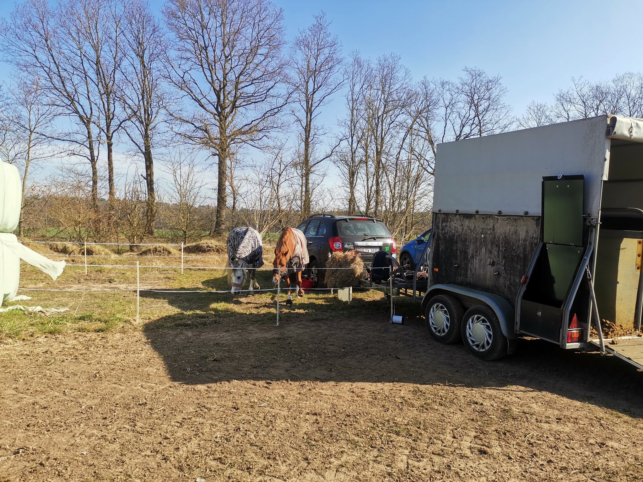 Pause für die Ponies