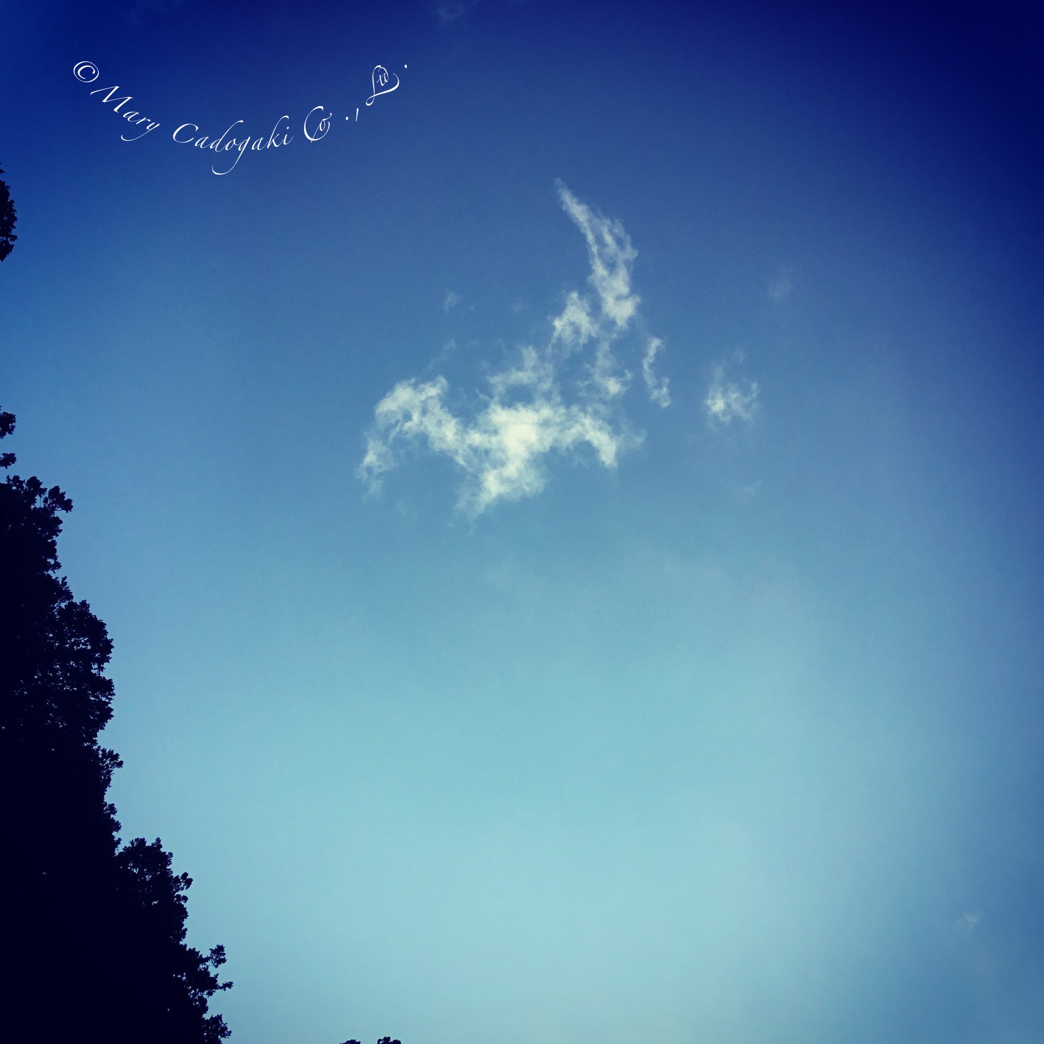 赤ちゃん龍神様