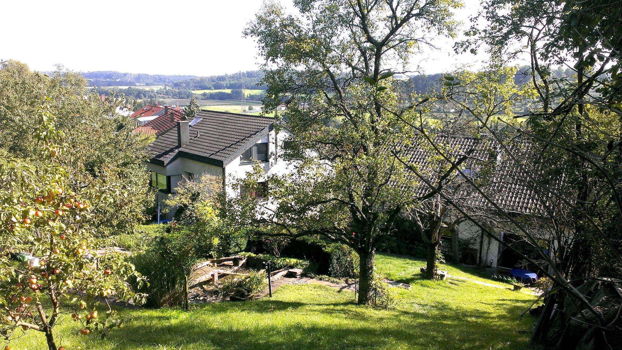 Vorher Zustand Hanggarten