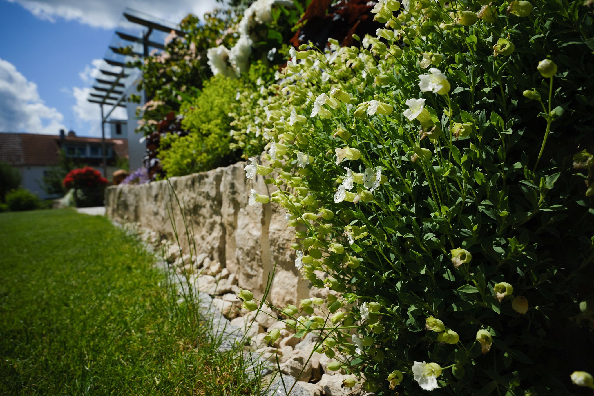 Jura-Quader als Pflanzbeetaufkantung