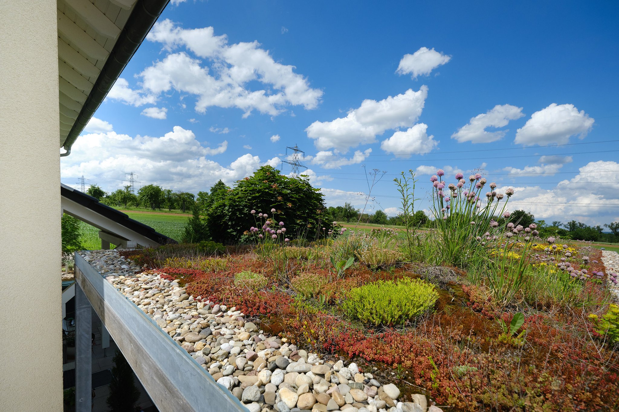 Individuell geplanter Carport mit Lamellenholzverkleidung und Extensivbegrünung