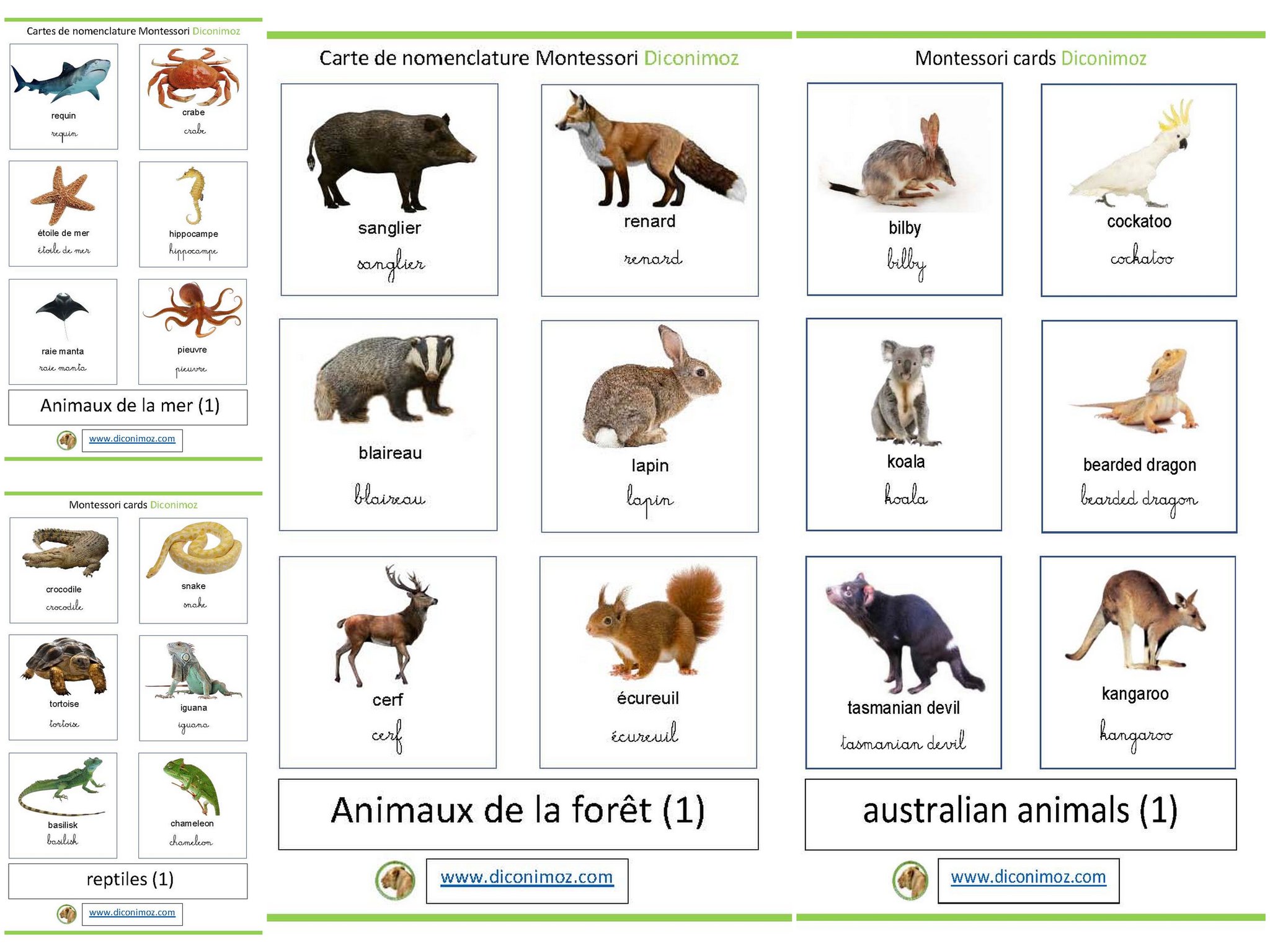 Les cartes Montessori/Montessori cards