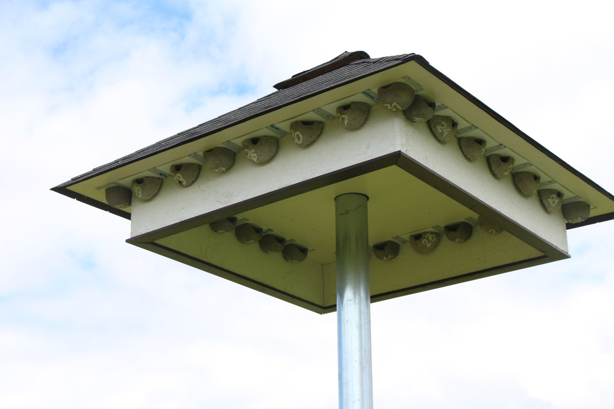 Ein Schwalbenturm bieten viel Platz für Schwalben und ihren Nachwuchs. Foto Julia Römhild LBV-Bildarchiv