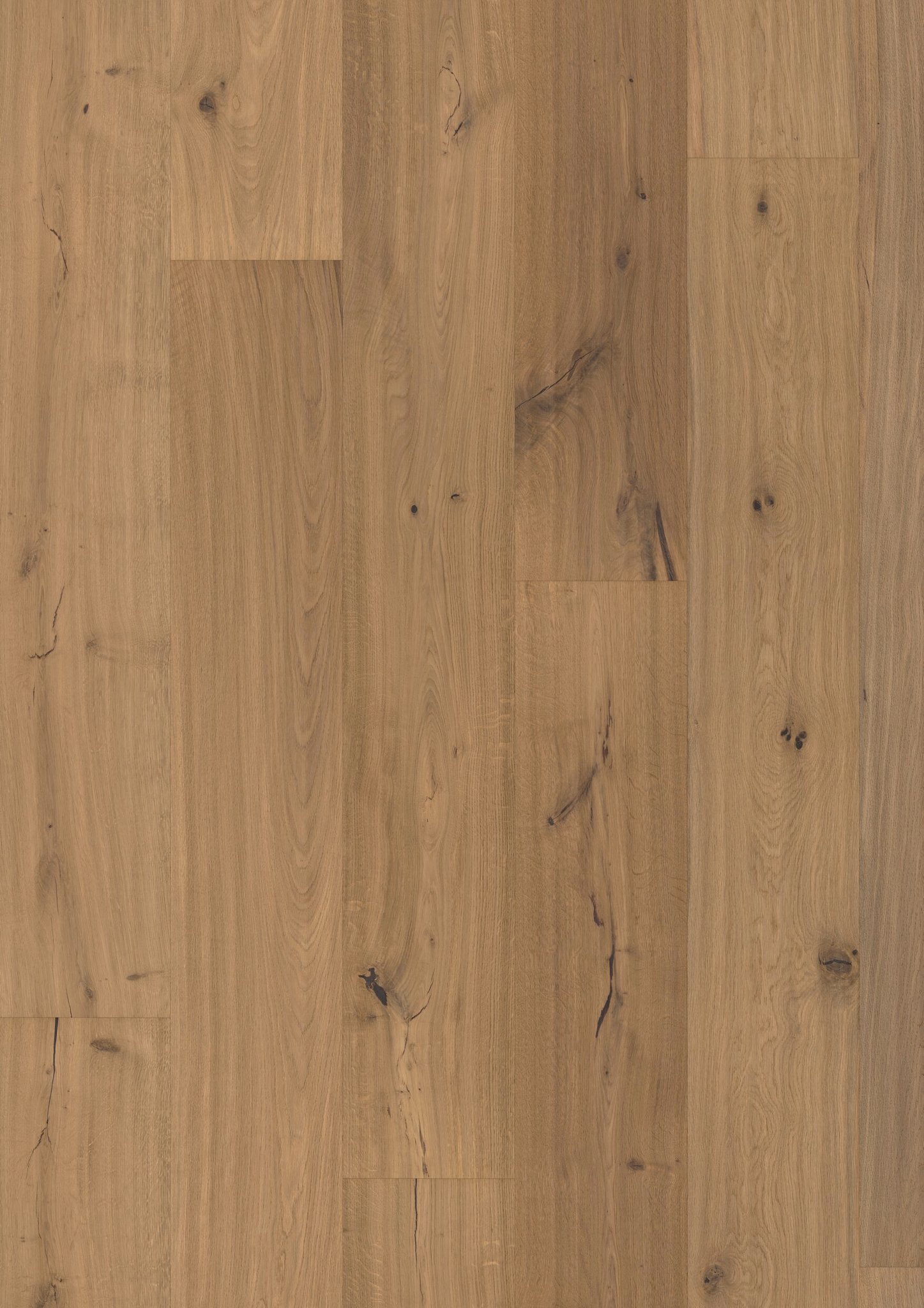 OAK NO. 21 - WARWICK