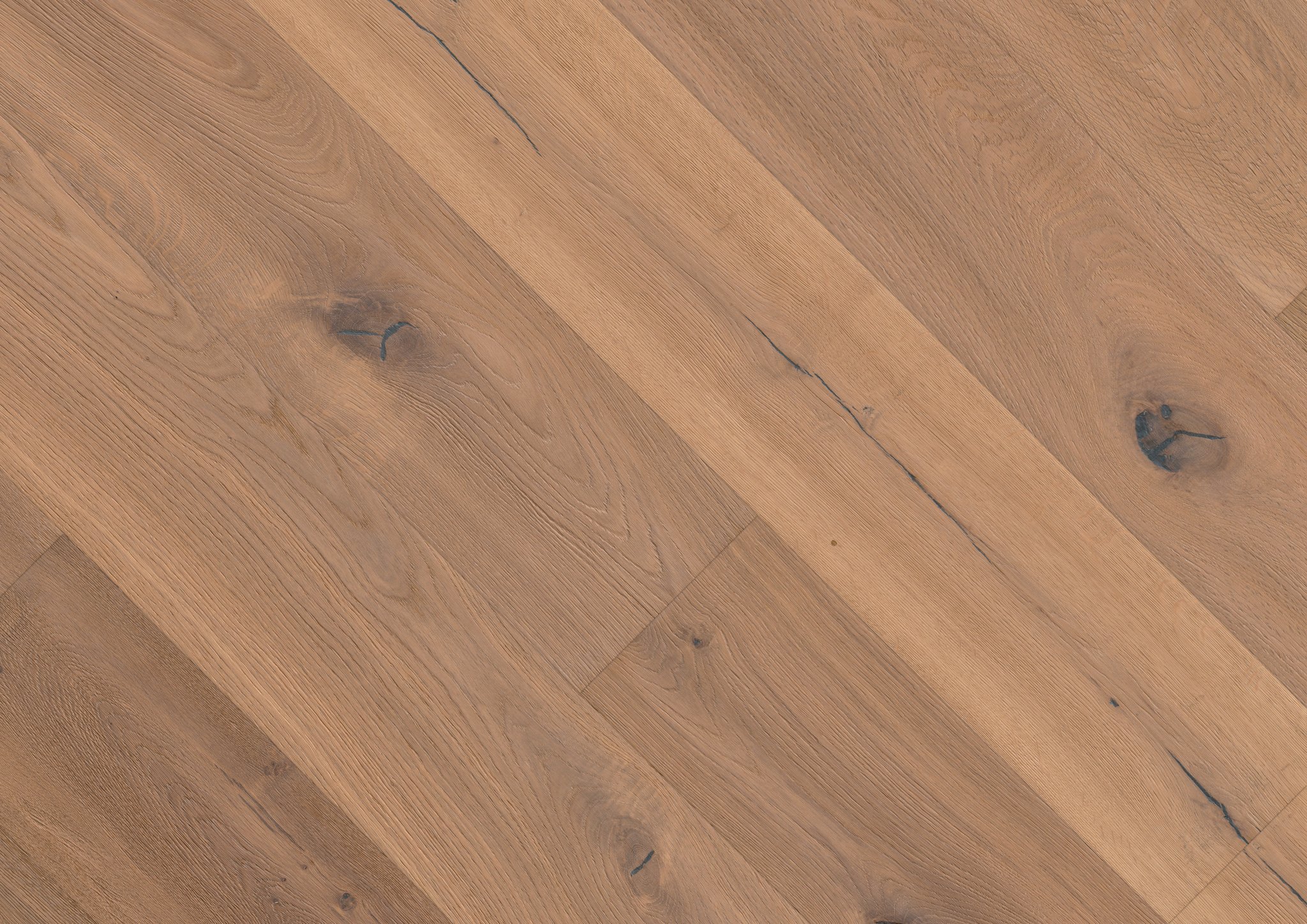 Oak No. 2 - Cornwall