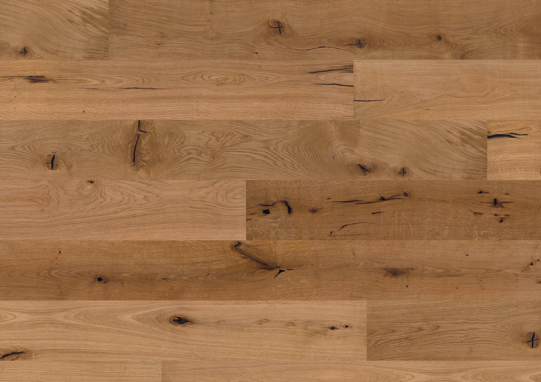 OAK NO. 24 - GLASGOW