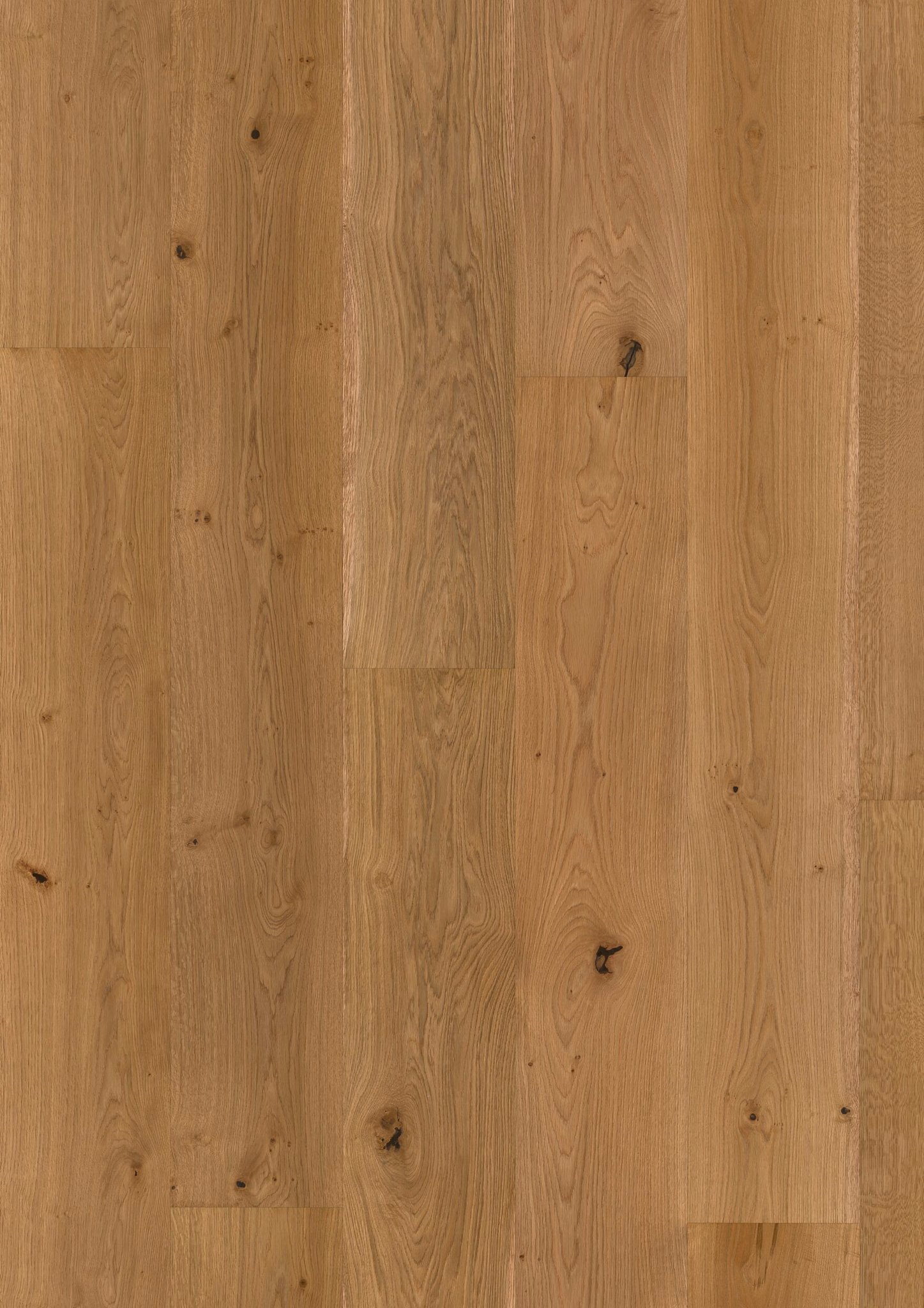 OAK NO. 15 - KENSINGTON