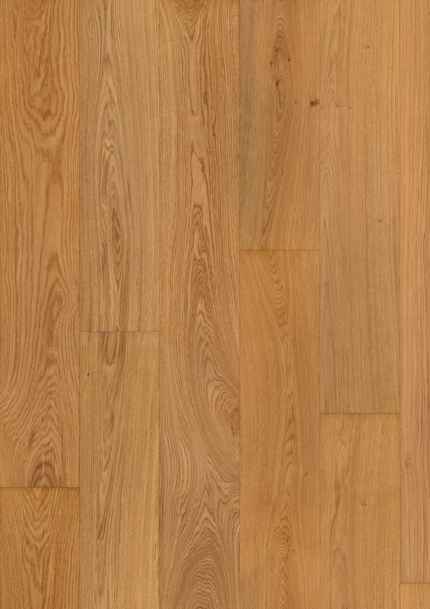 Oak No. 14 - Windsor