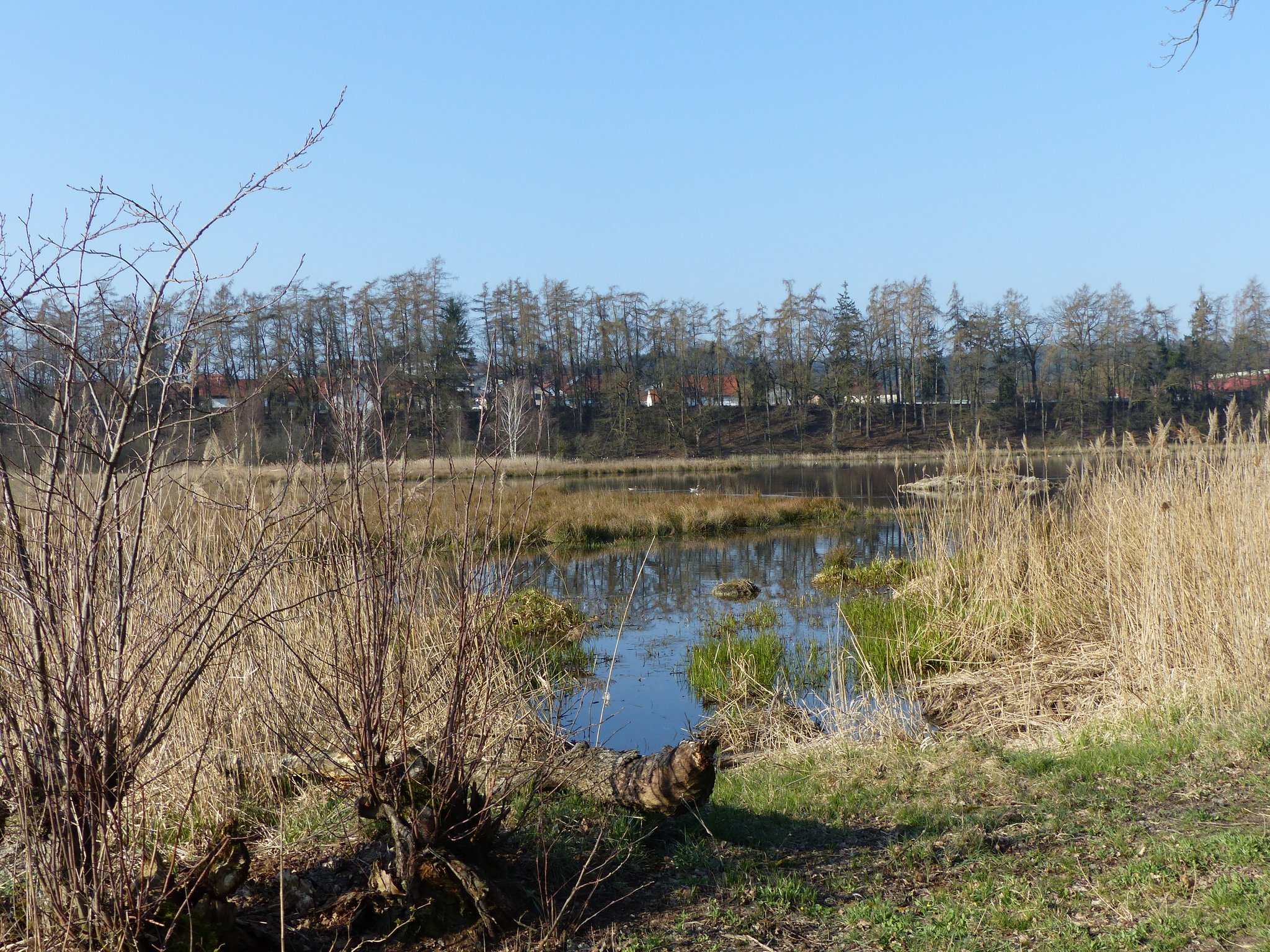 Blick übr Angerweiher nach Untertraubenbach