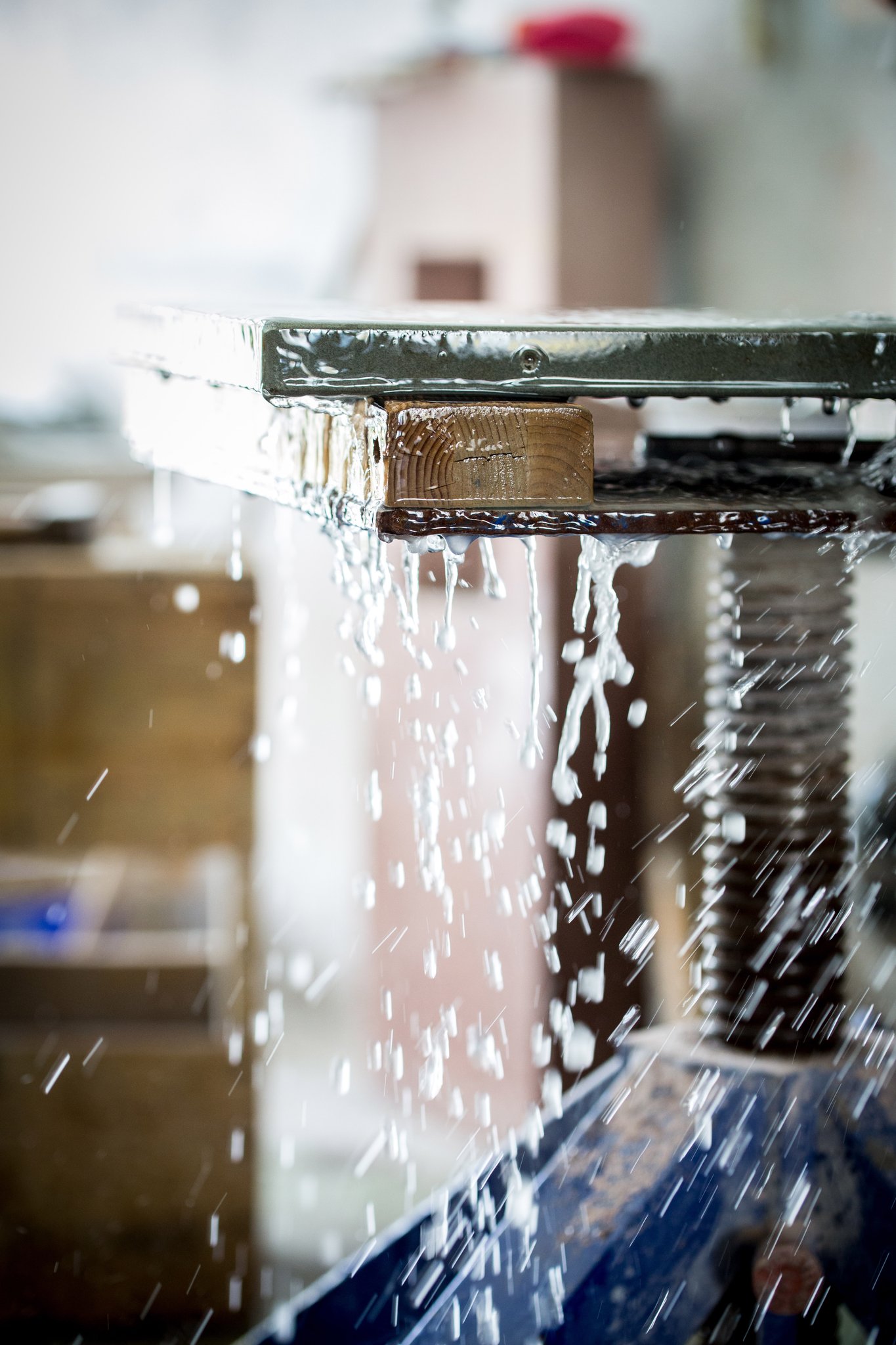 Business Fotograf Schaffhausen