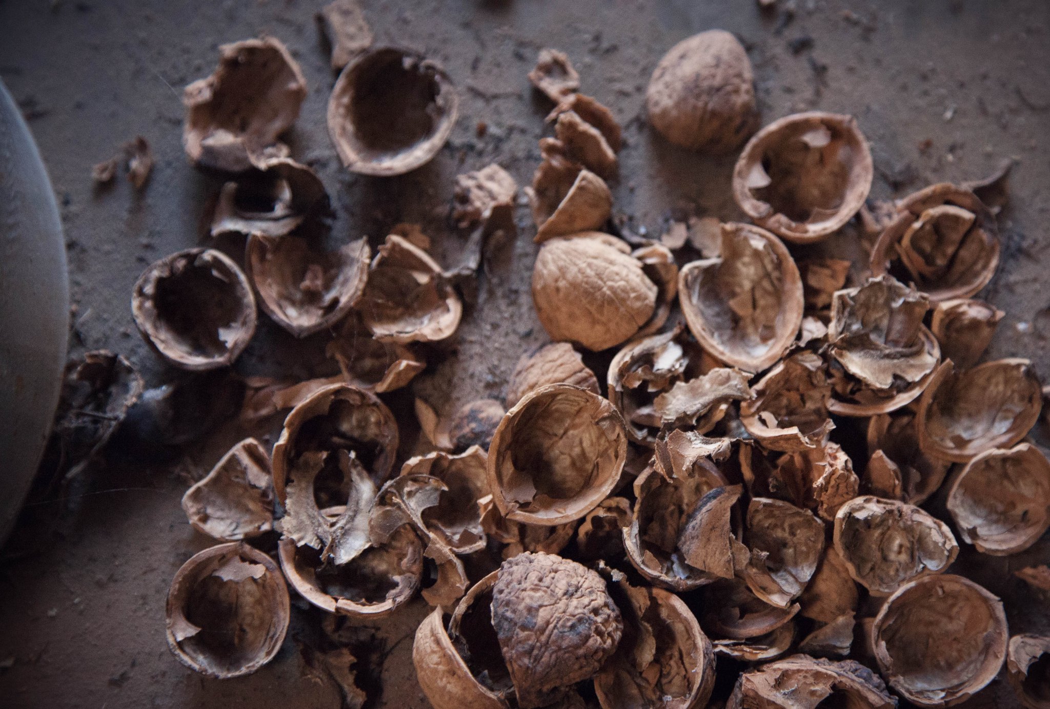 Stimmungsfotografie Schaffhausen