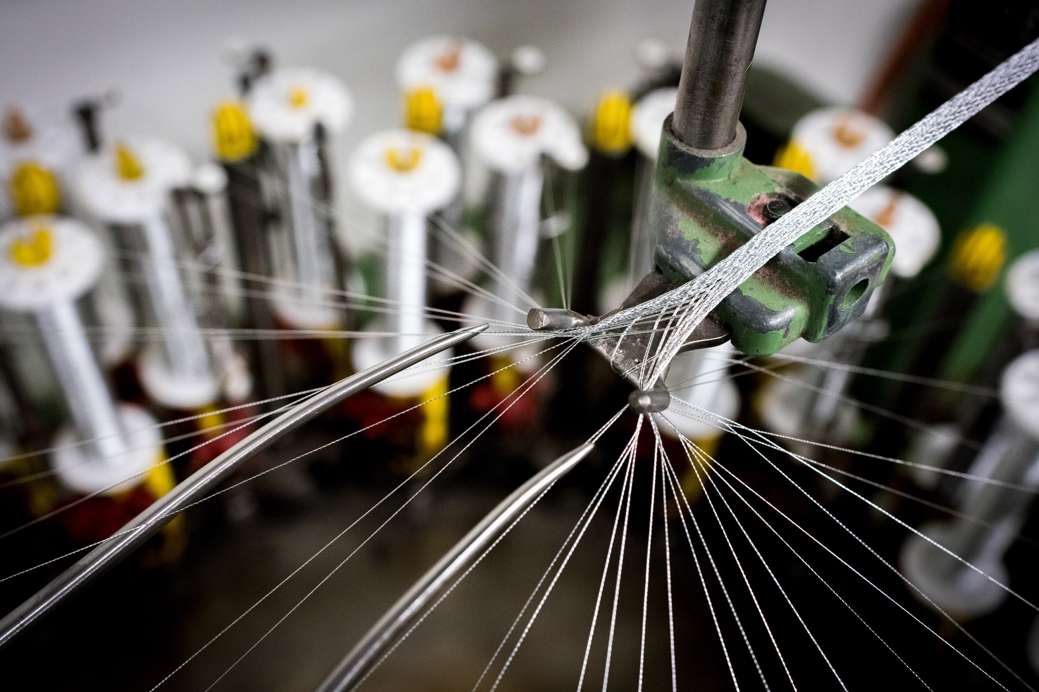 Fotografin Schaffhausen