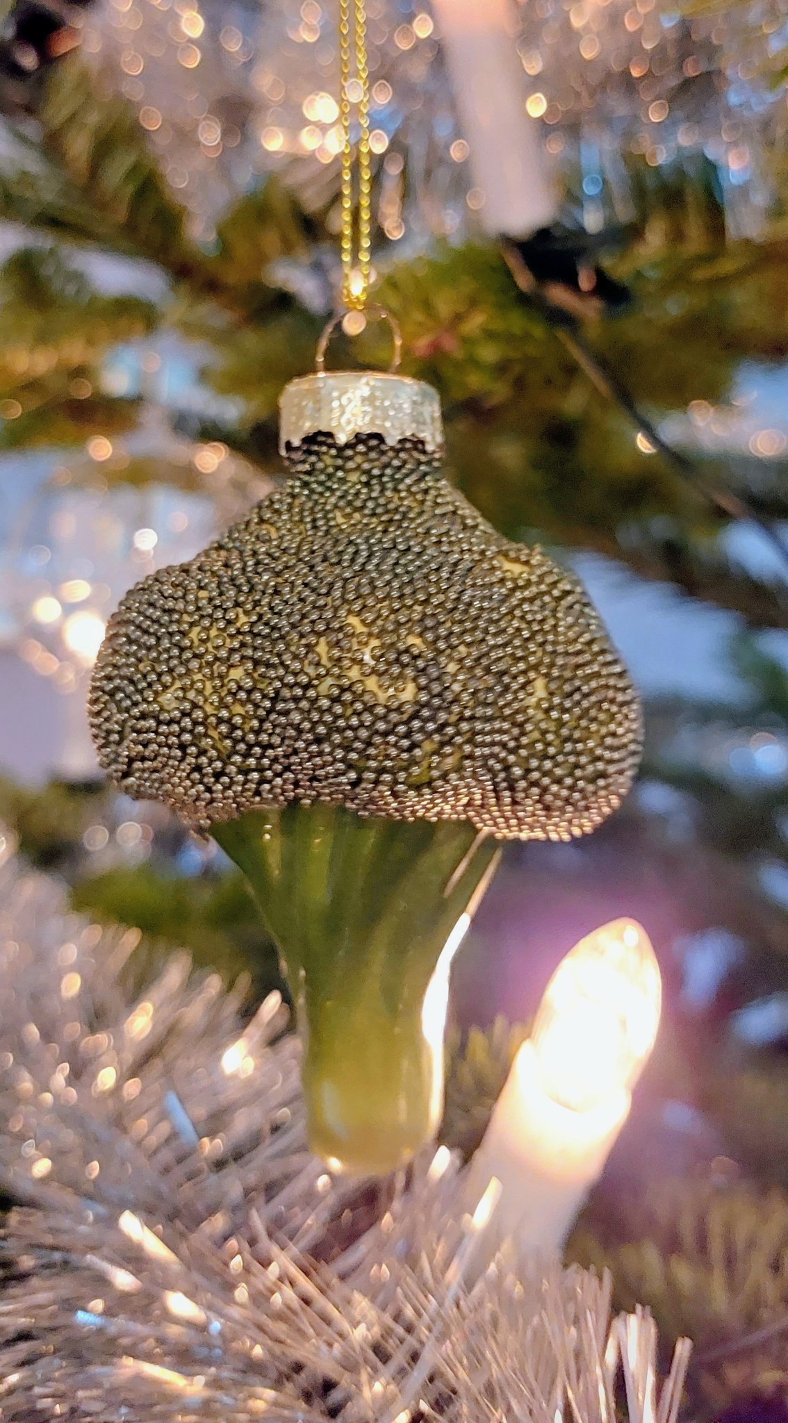 Sinterklaascadeautje 2025