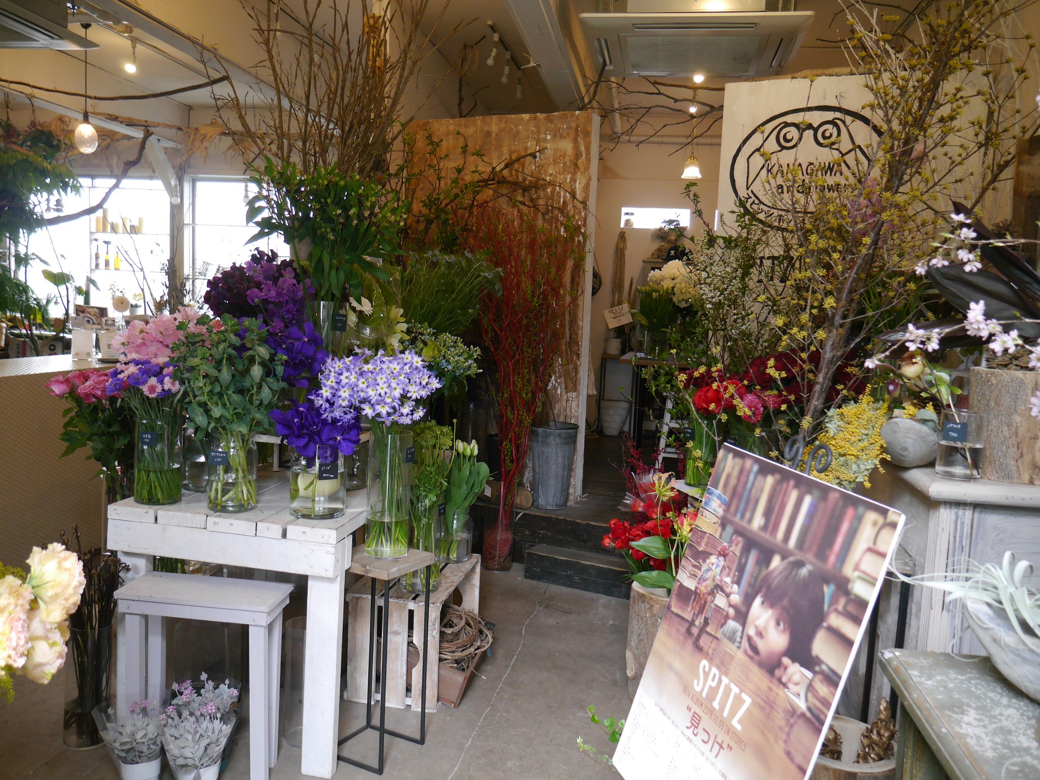 切り花コーナー🌸