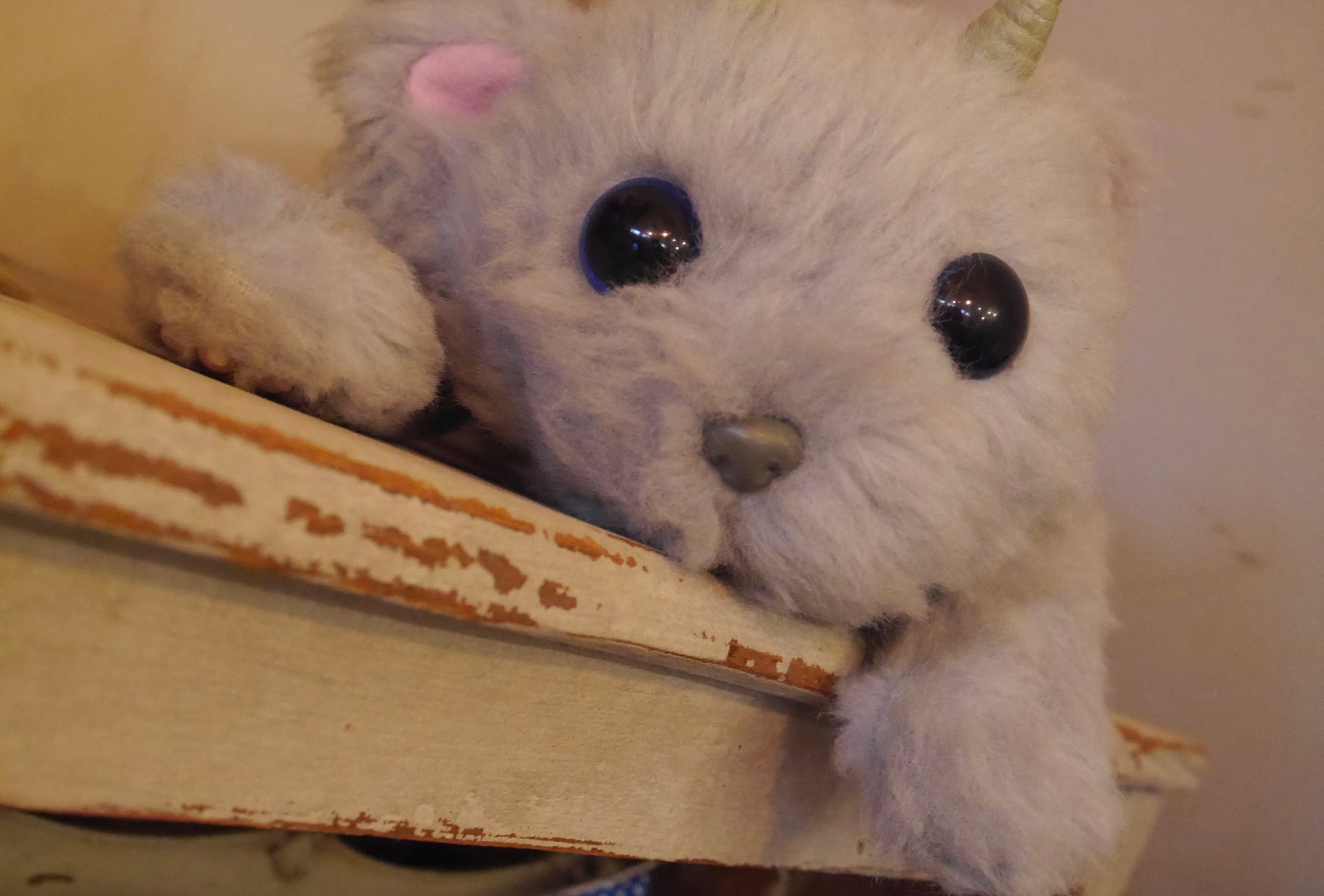 ほんと、かわいいよ～💚