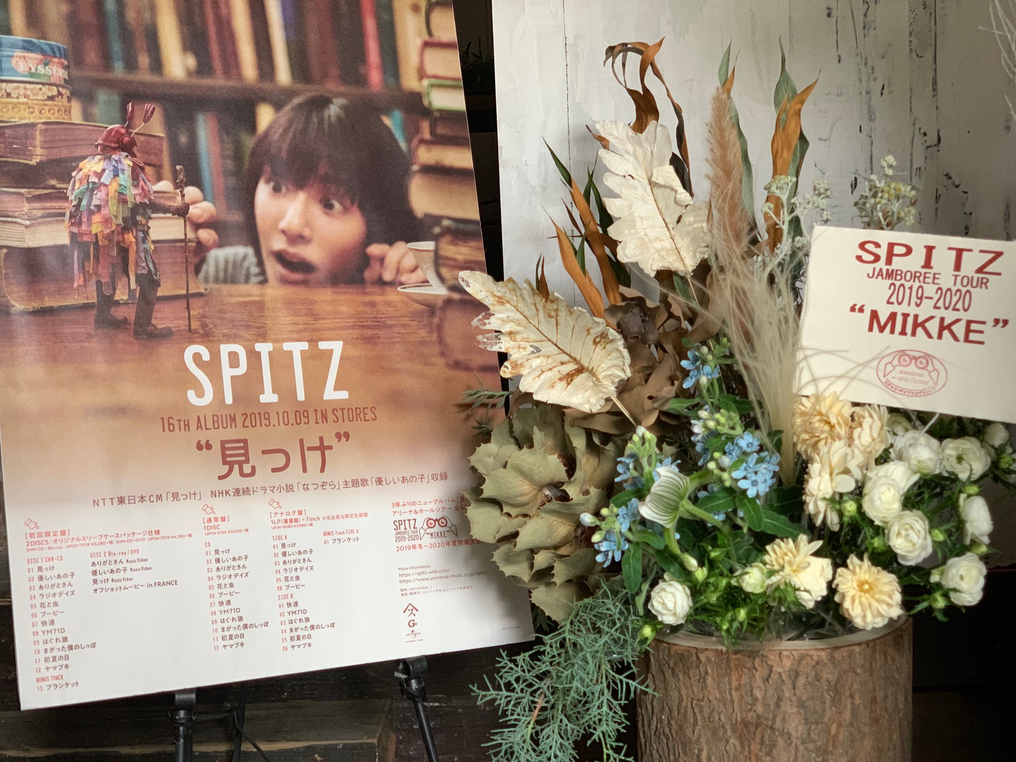 ハケア、ダリア、スプレーバラ、ブルースター、グレビレア、グリーンアイス🌲🌲