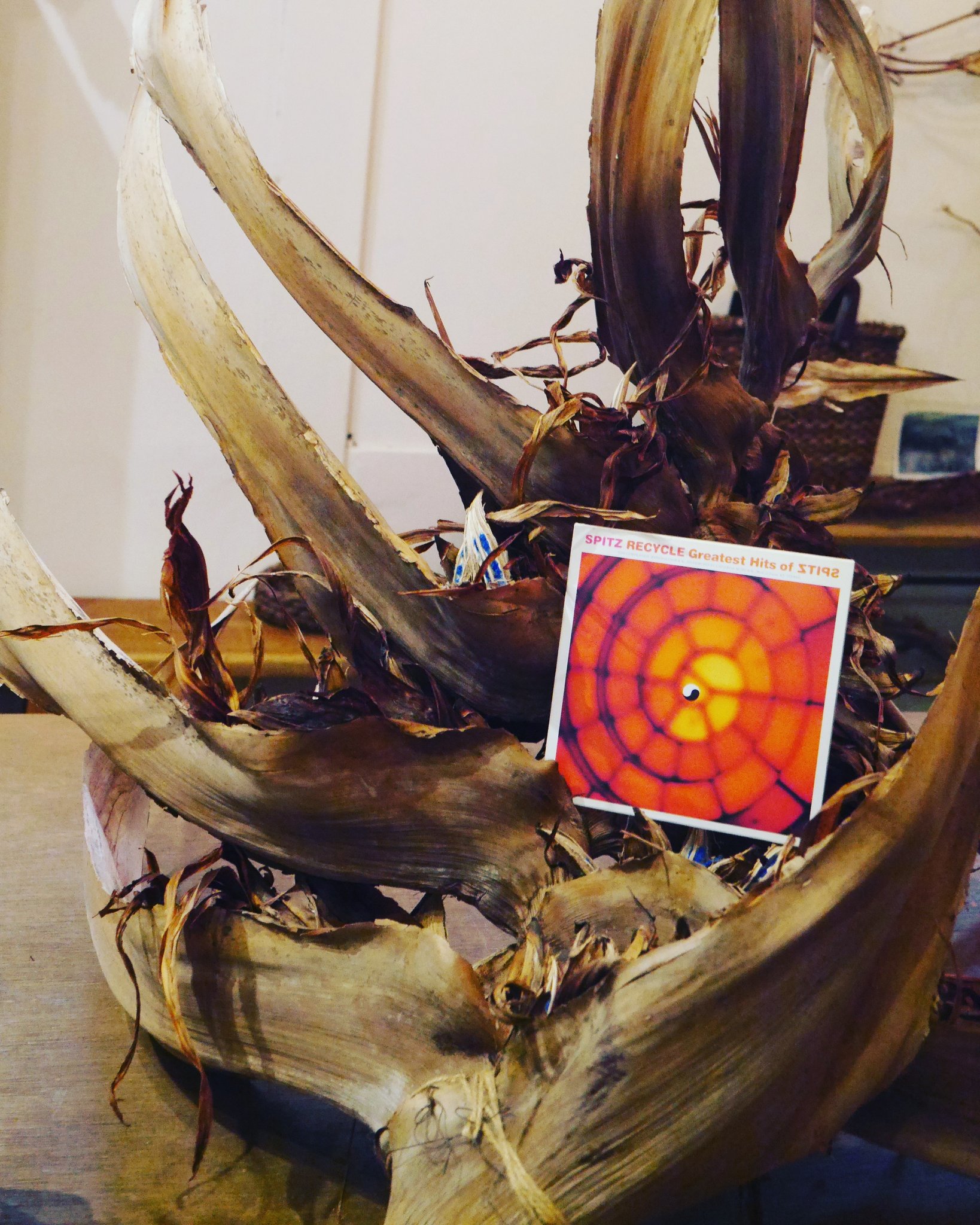 RECYCLE Greatest Hits of SPITZ ×旅人の木