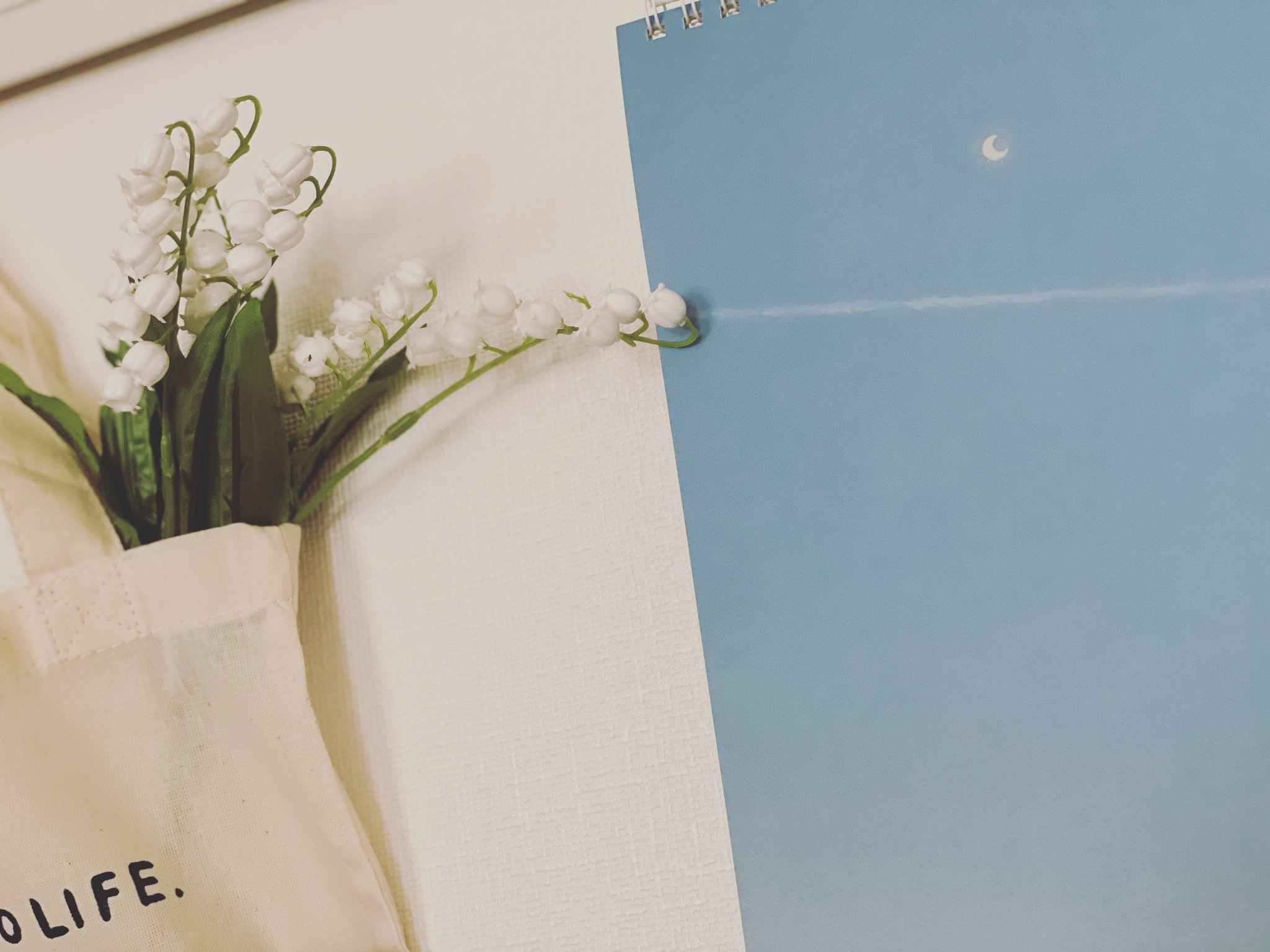 5月になりました～