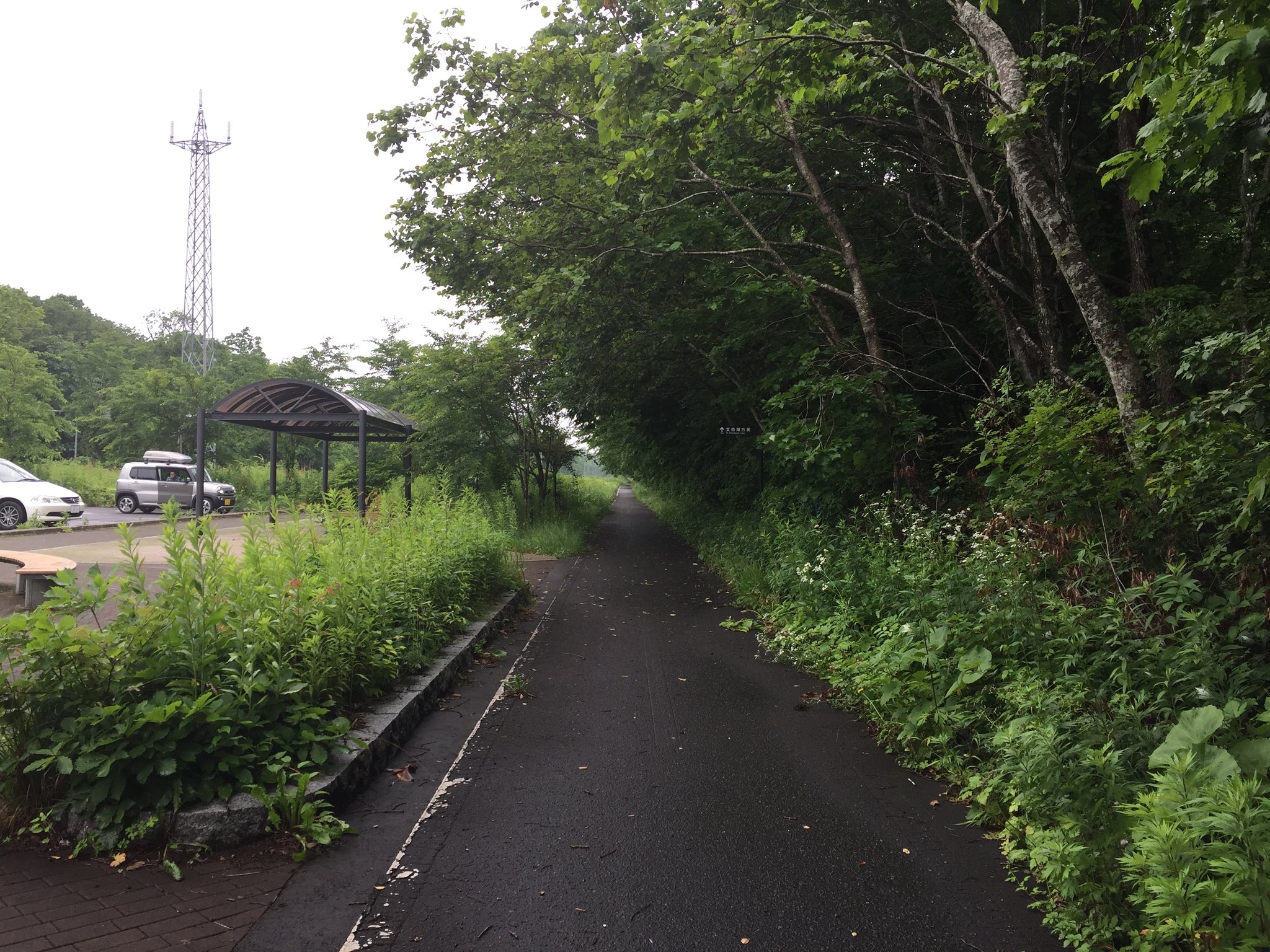支笏湖公園自転車道路