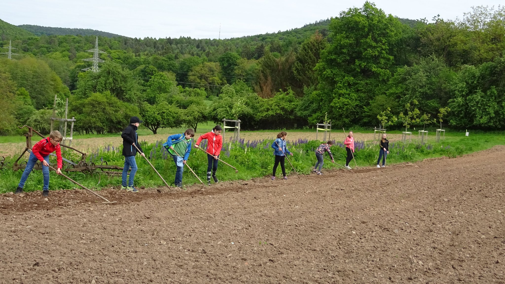 Die Gruppe legt eine Blühfläche an